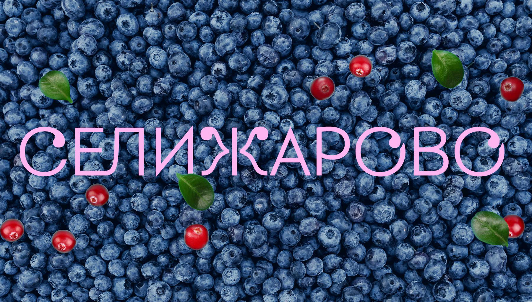 Selijarovo branding — Изображение №1 — Брендинг, Графика на Dprofile