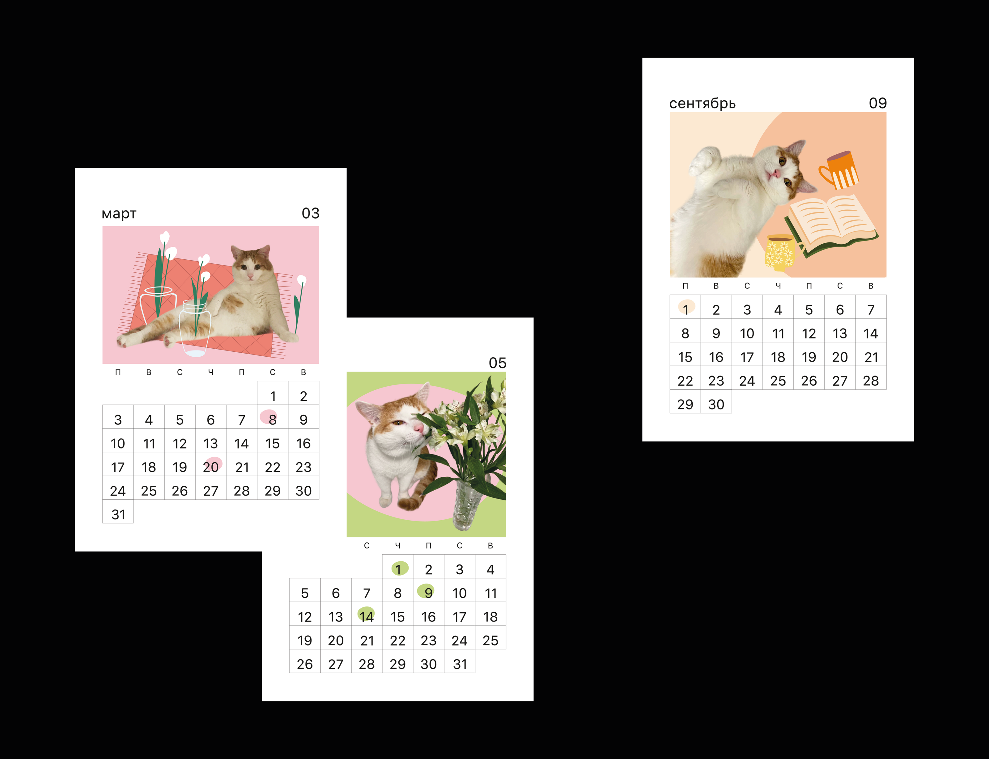 calendar 2025 / календарь`25 / personal project — Изображение №5 — Брендинг, Графика на Dprofile