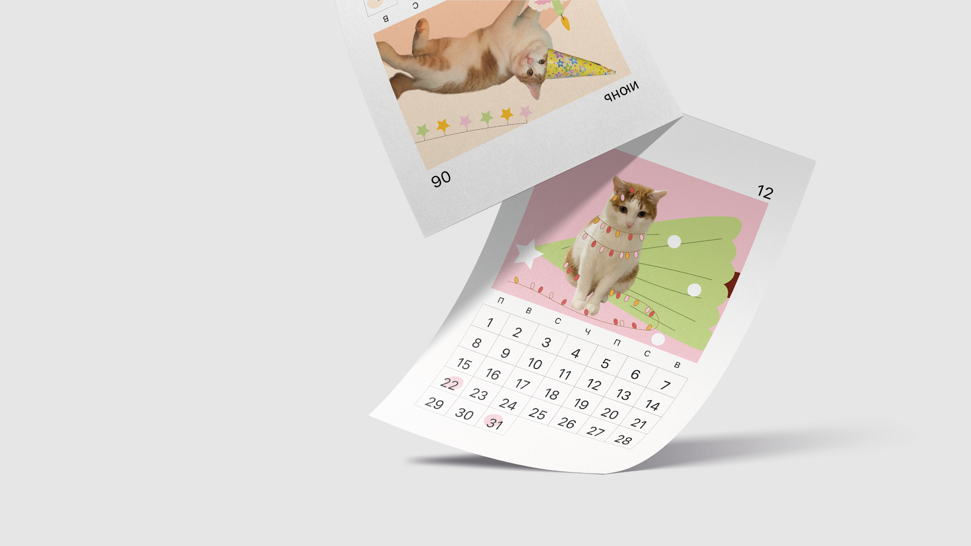 calendar 2025 / календарь`25 / personal project — Изображение №11 — Брендинг, Графика на Dprofile