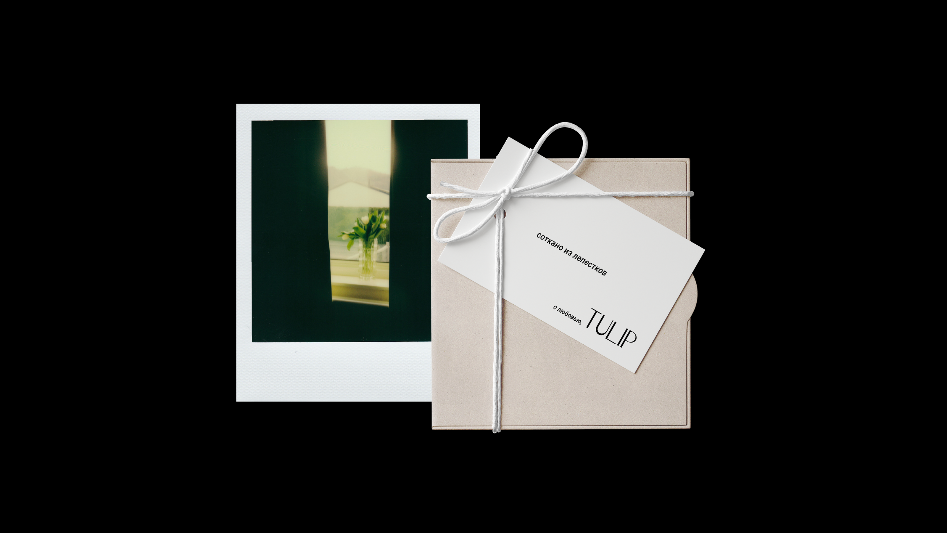 tulip underwear / фирменный стиль / visual identity — Изображение №11 — Брендинг, Графика на Dprofile