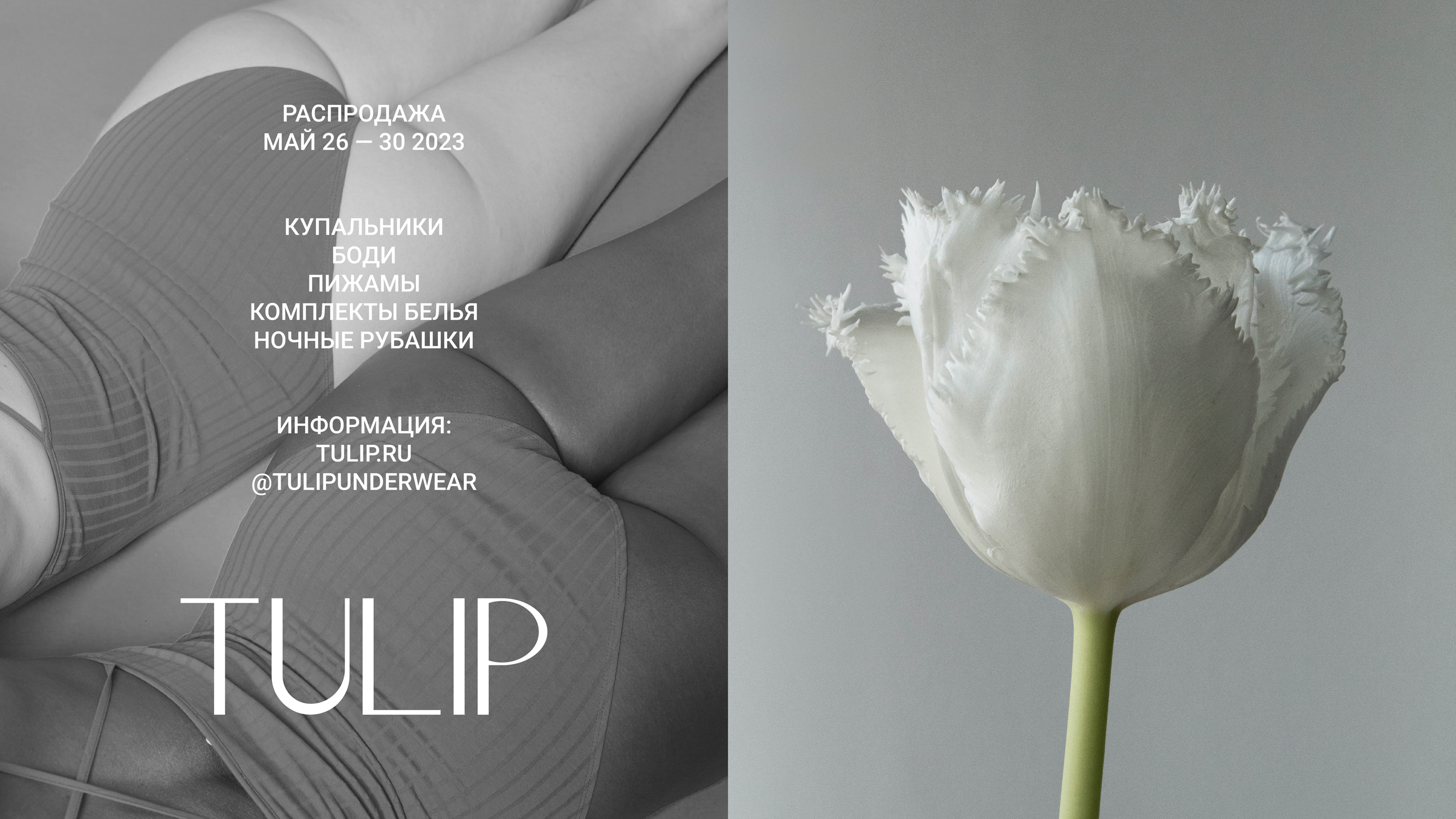 tulip underwear / фирменный стиль / visual identity — Изображение №5 — Брендинг, Графика на Dprofile