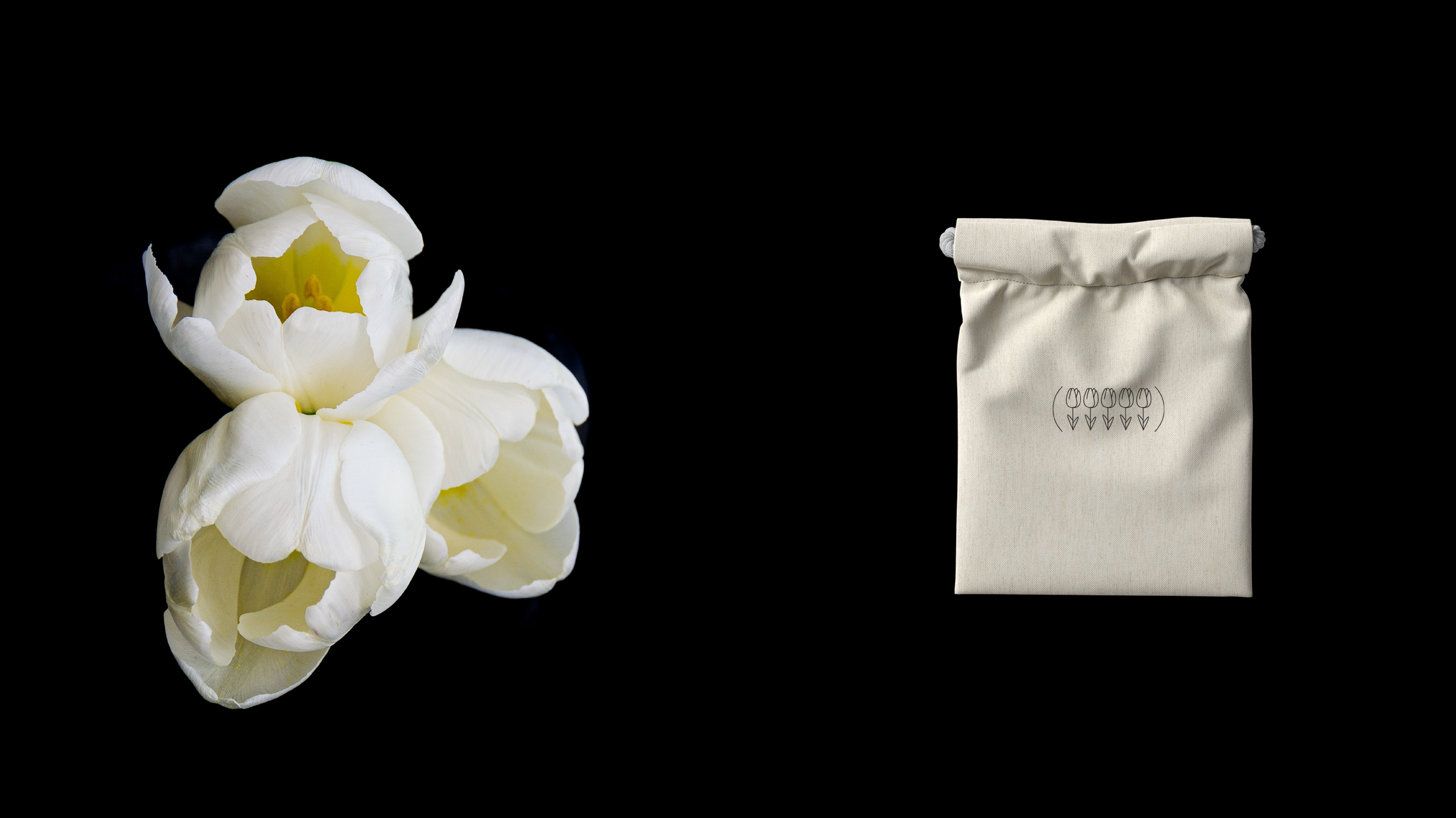 tulip underwear / фирменный стиль / visual identity — Изображение №14 — Брендинг, Графика на Dprofile