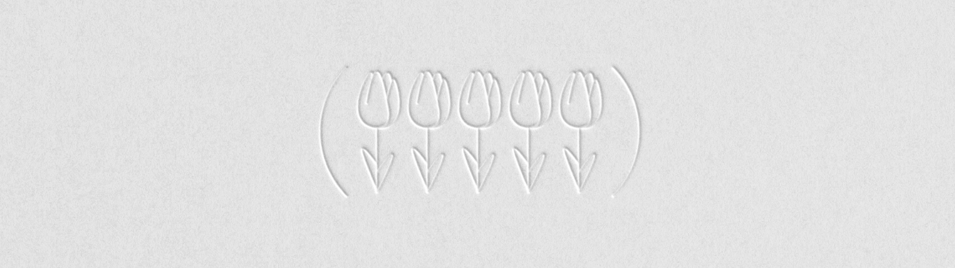 tulip underwear / фирменный стиль / visual identity — Изображение №8 — Брендинг, Графика на Dprofile