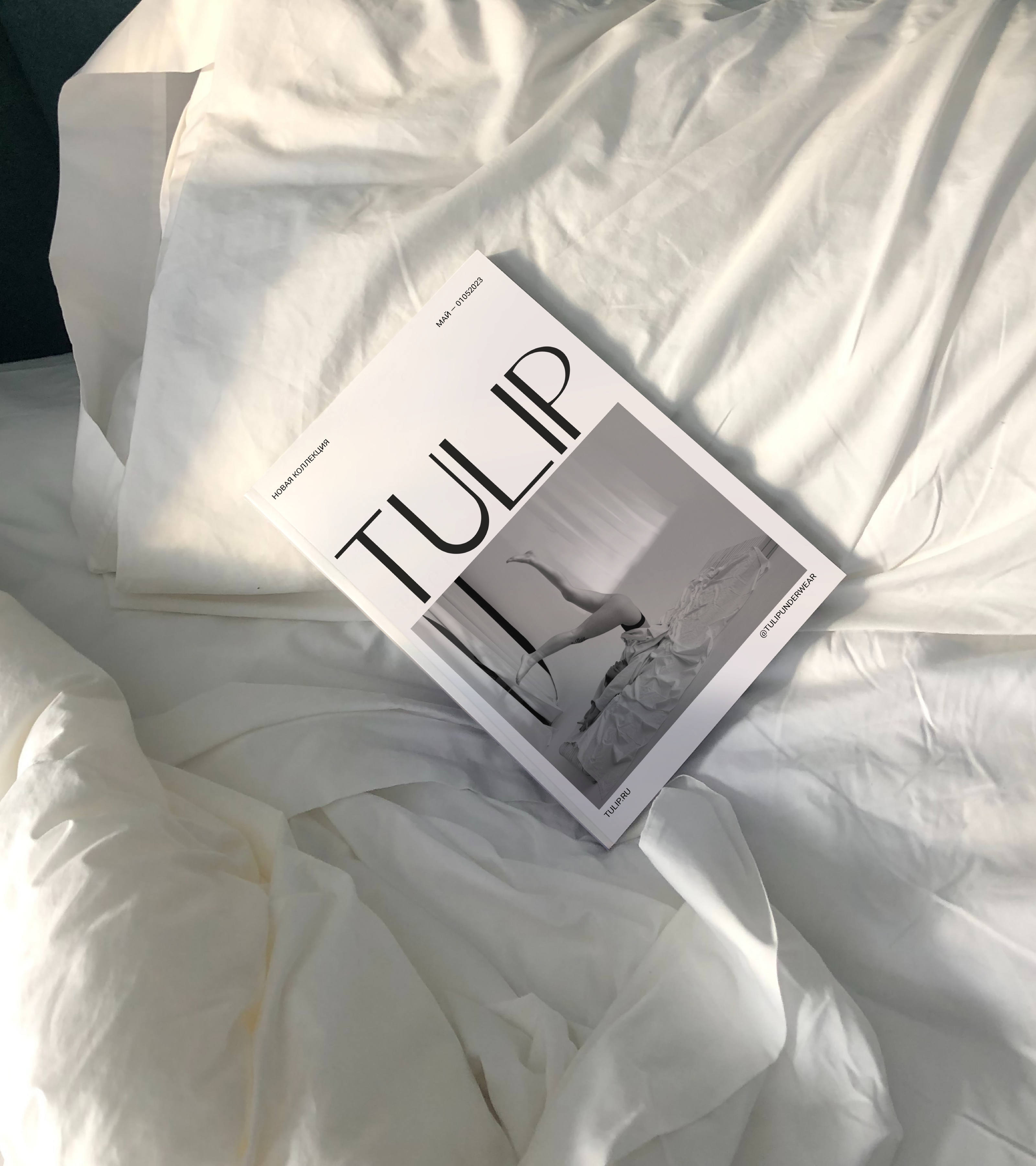 tulip underwear / фирменный стиль / visual identity — Изображение №12 — Брендинг, Графика на Dprofile