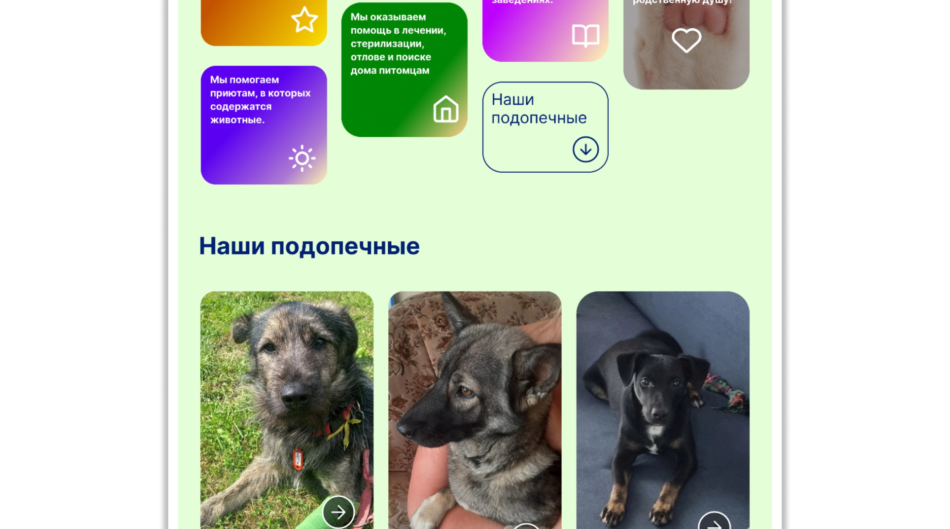 Благотворительный Фонд Зои Шумиловой — Изображение №6 — Интерфейсы, Брендинг на Dprofile