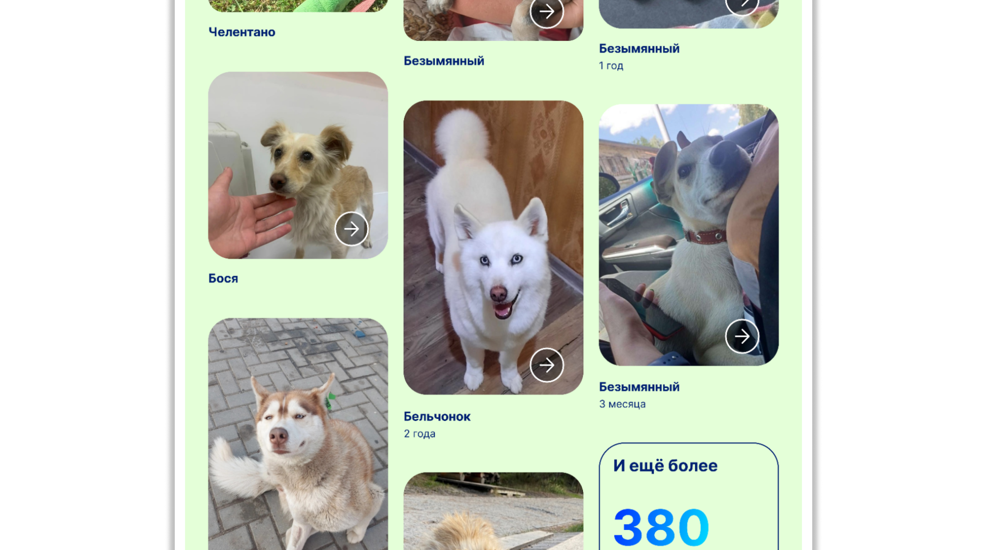 Благотворительный Фонд Зои Шумиловой — Изображение №7 — Интерфейсы, Брендинг на Dprofile