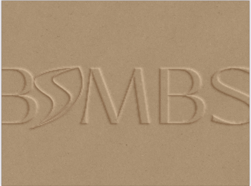 logo for the tea bomb shop — Изображение №3 — Брендинг, Графика на Dprofile