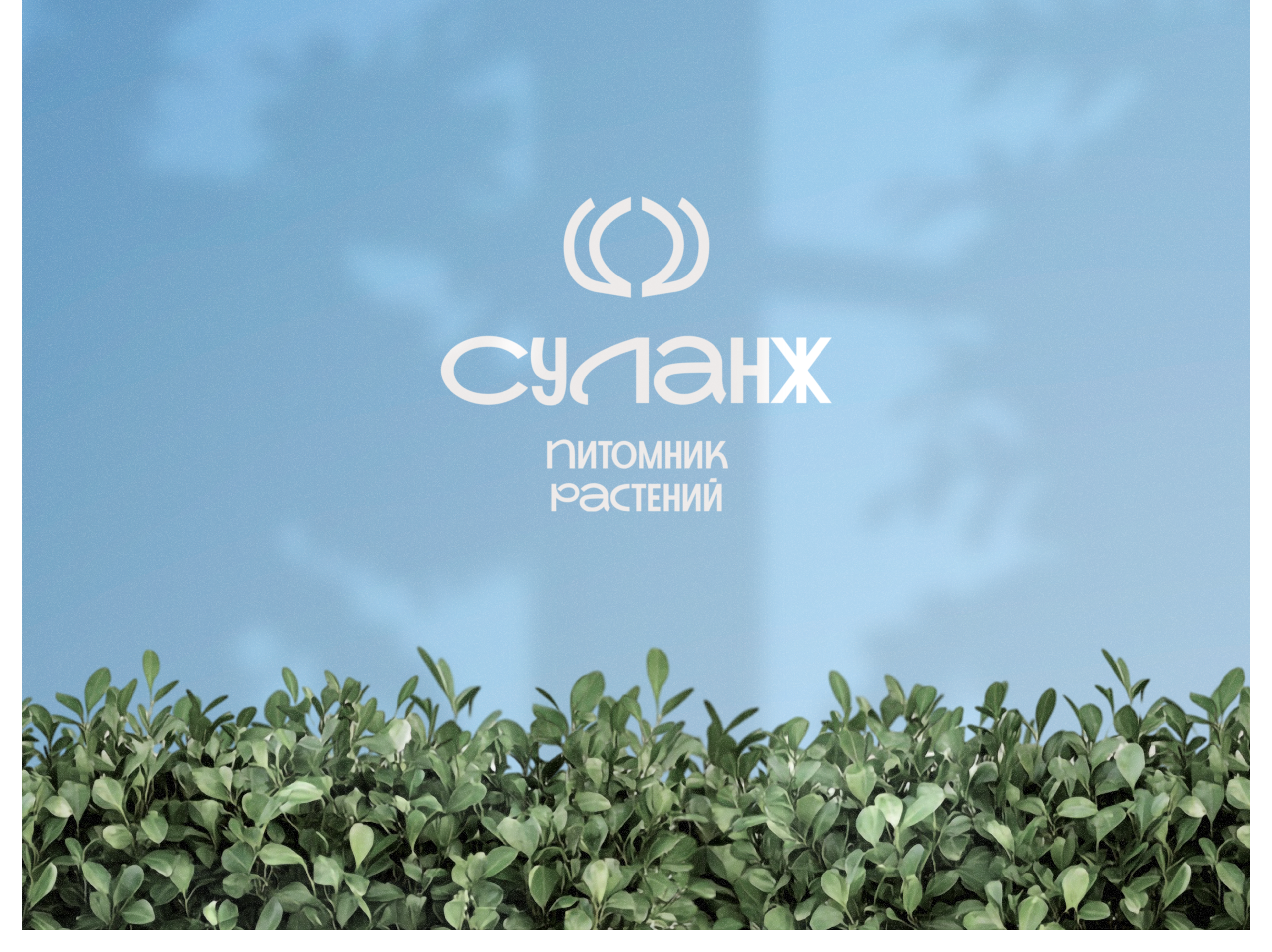 Логотип питомника растений "Суланж" — Изображение №5 — Брендинг, Маркетинг на Dprofile