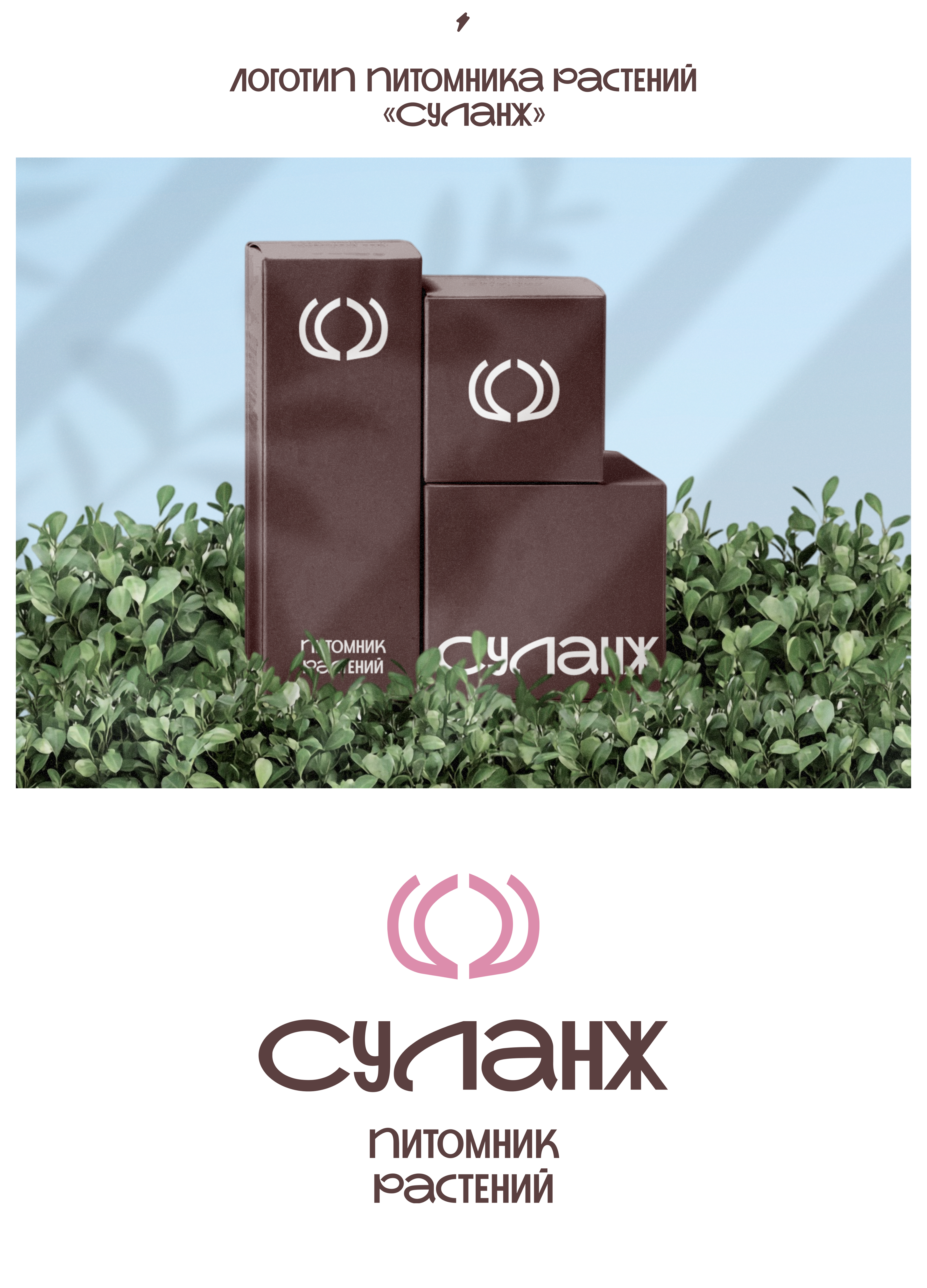 Логотип питомника растений "Суланж" — Изображение №1 — Брендинг, Маркетинг на Dprofile