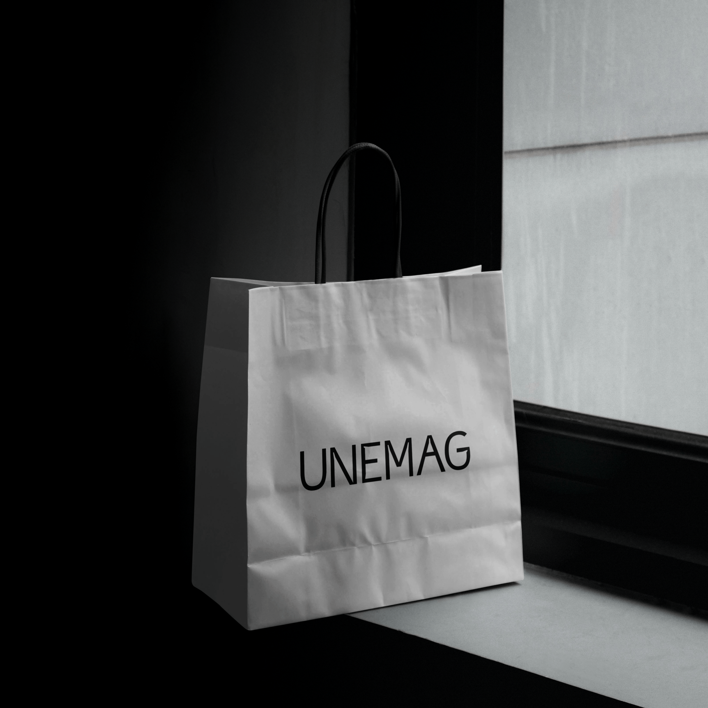 Логотип UNEMAG — Изображение №5 — Брендинг, Маркетинг на Dprofile