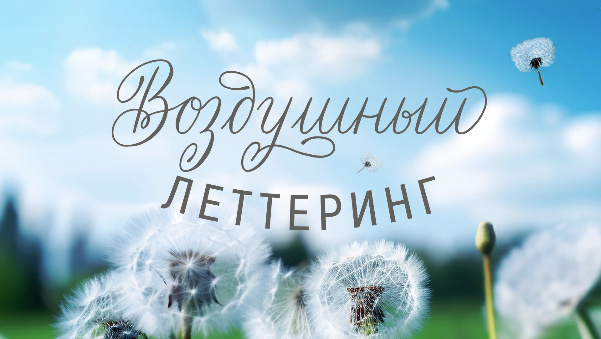 Леттеринг  Рукописные буквы  Принт для печати — Изображение №1 — Графика на Dprofile