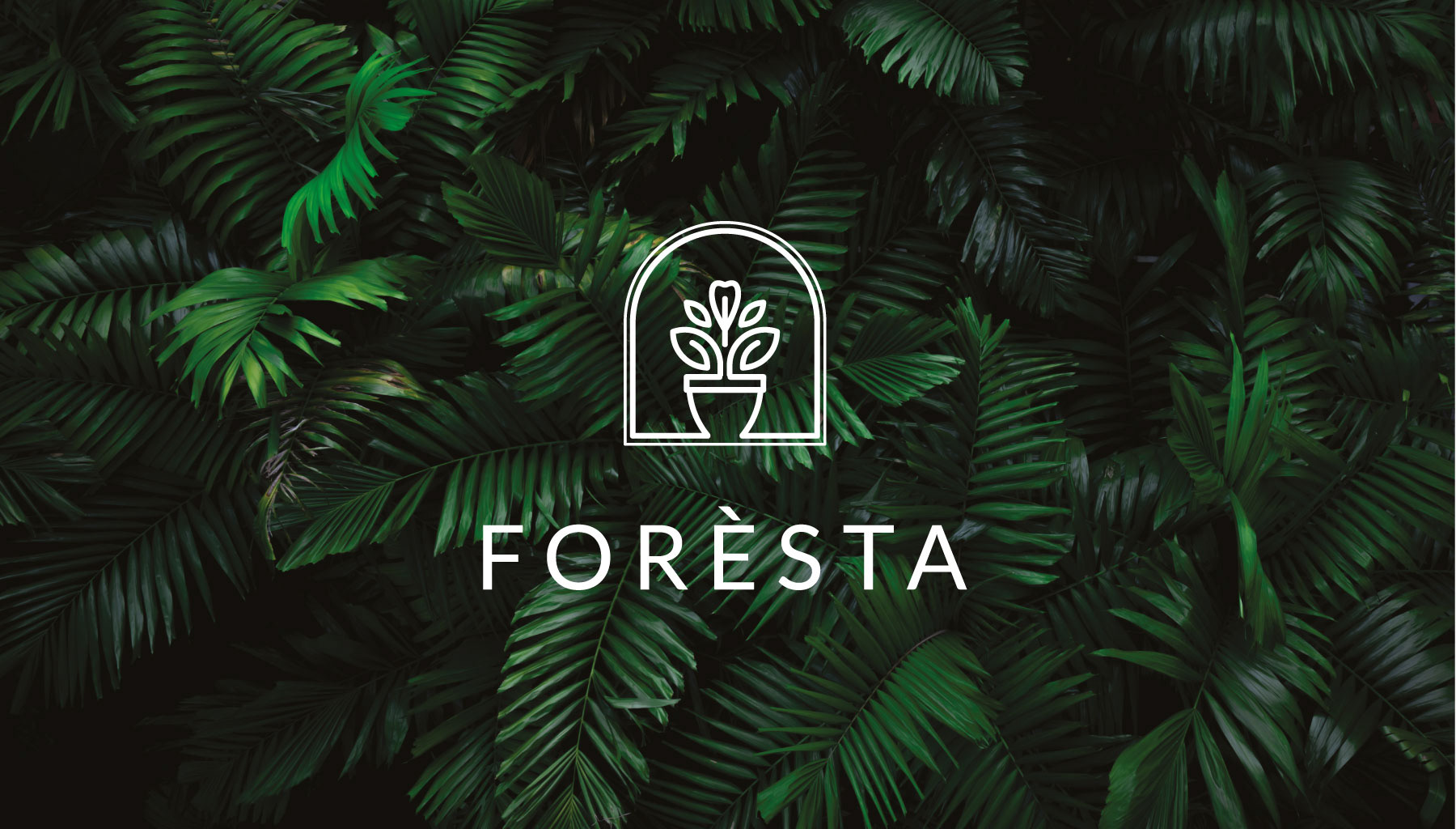 Логотип для городской оранжереи Foresta — Изображение №4 — Брендинг на Dprofile