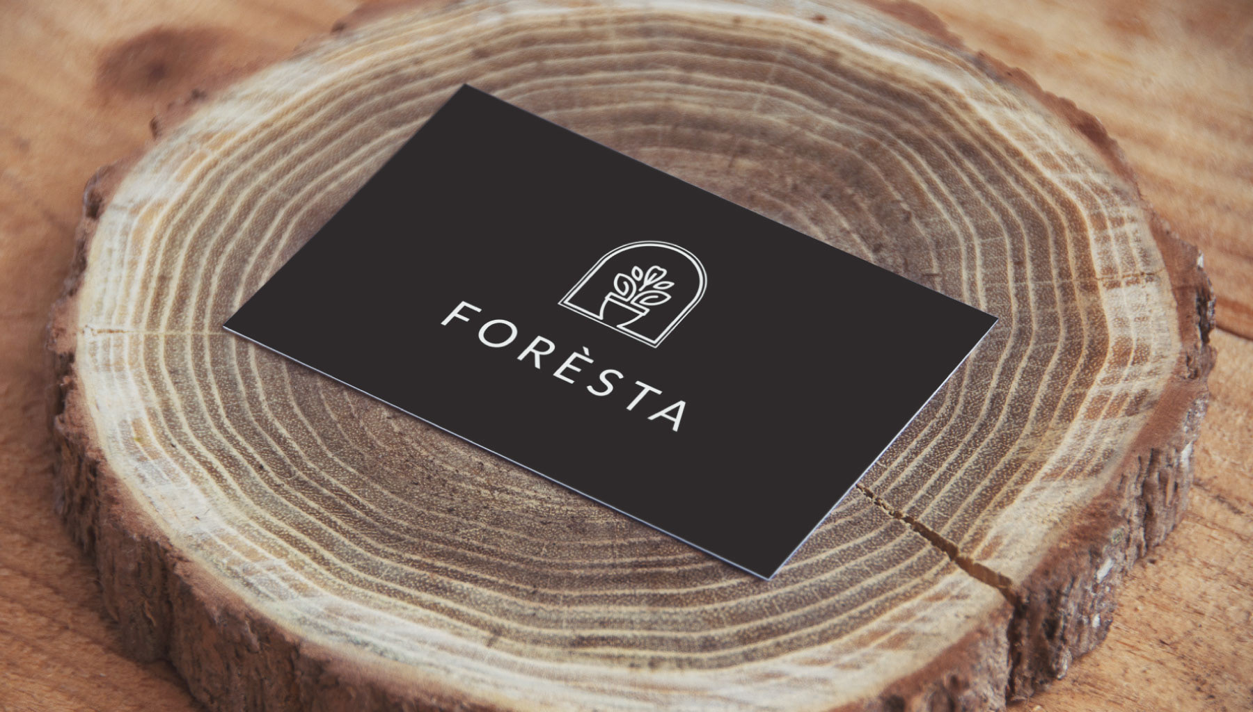 Логотип для городской оранжереи Foresta — Изображение №7 — Брендинг на Dprofile