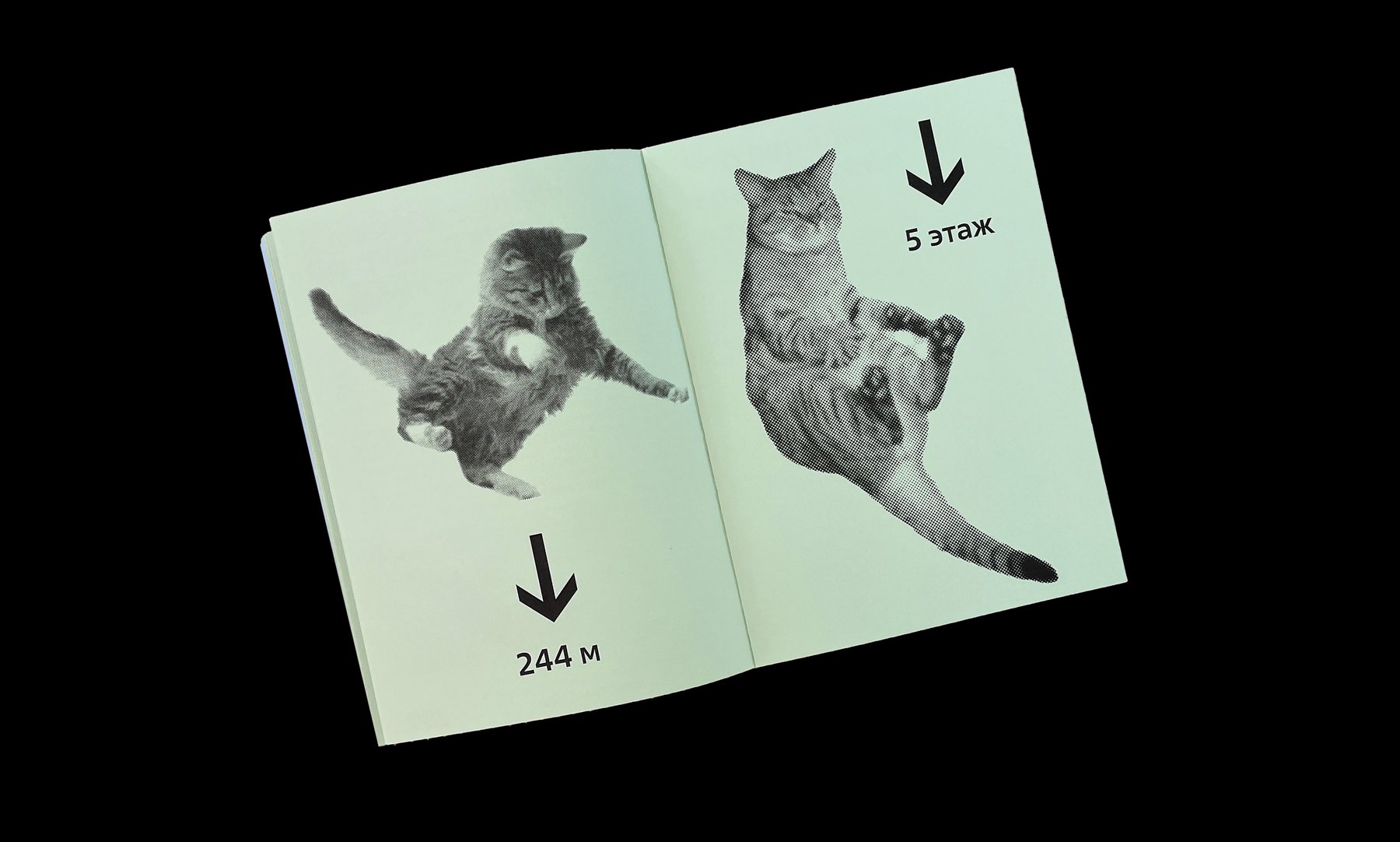 Книга всеобщих заблуждений — Изображение №17 — Графика на Dprofile