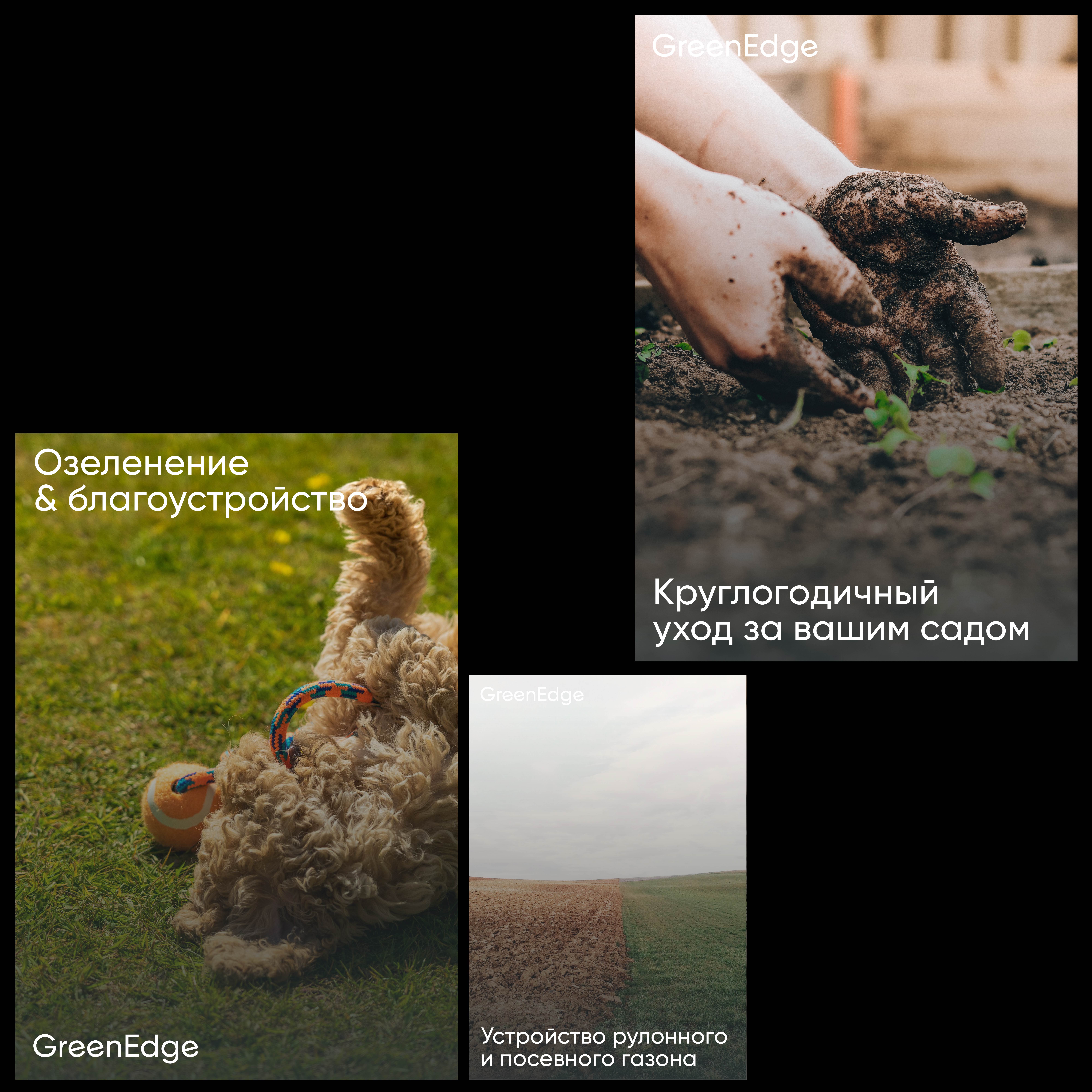 GreenEdge — Изображение №5 — Брендинг, Графика на Dprofile