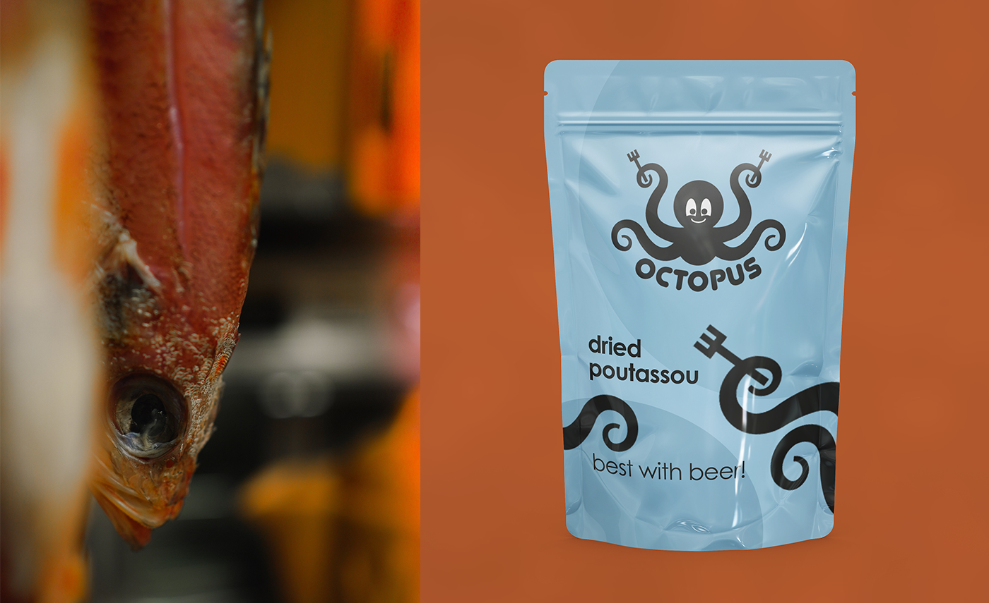 Octopus Logo & Branding — Изображение №5 — Брендинг, Графика на Dprofile