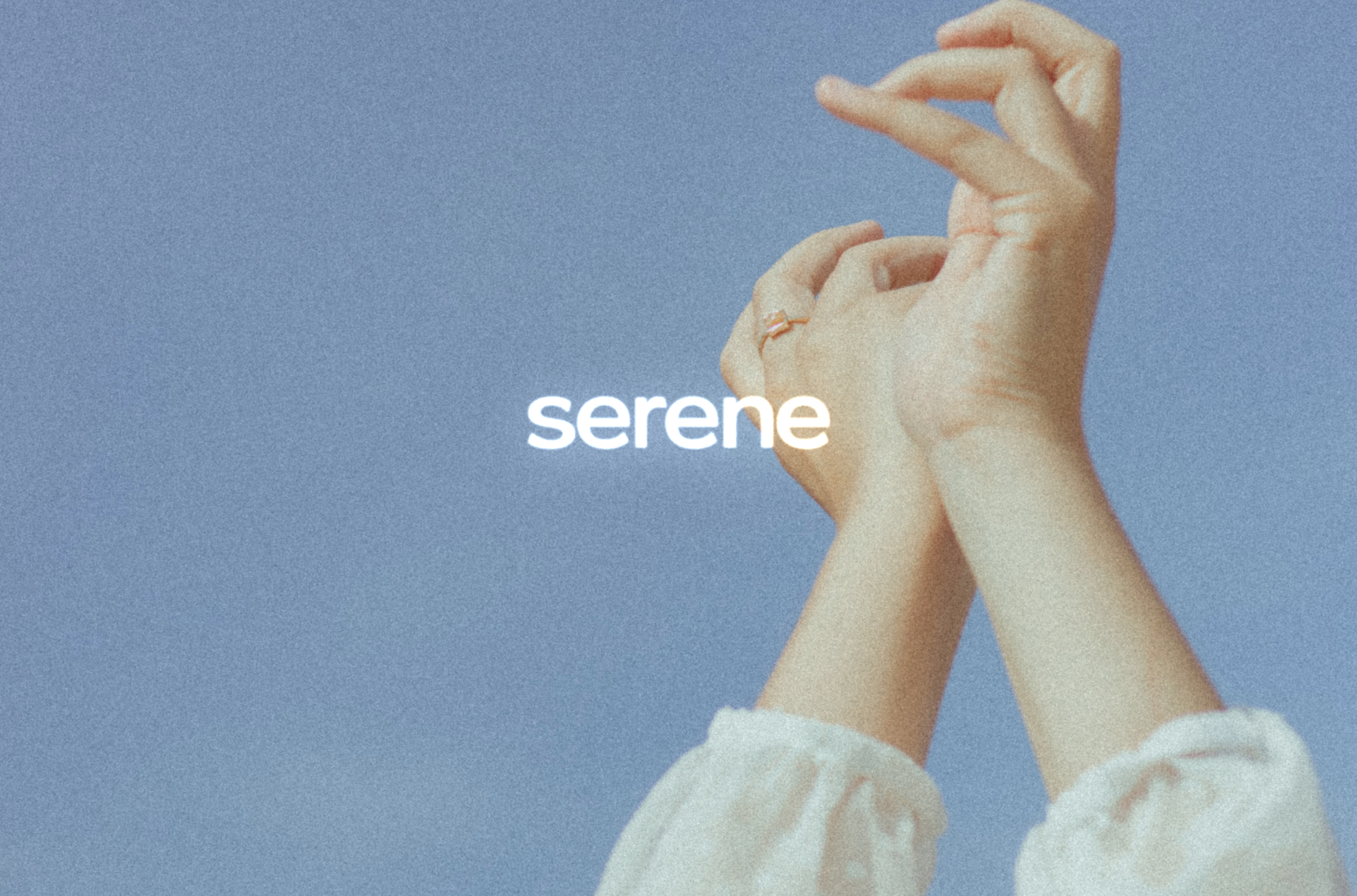 serene — Изображение №1 — Брендинг на Dprofile
