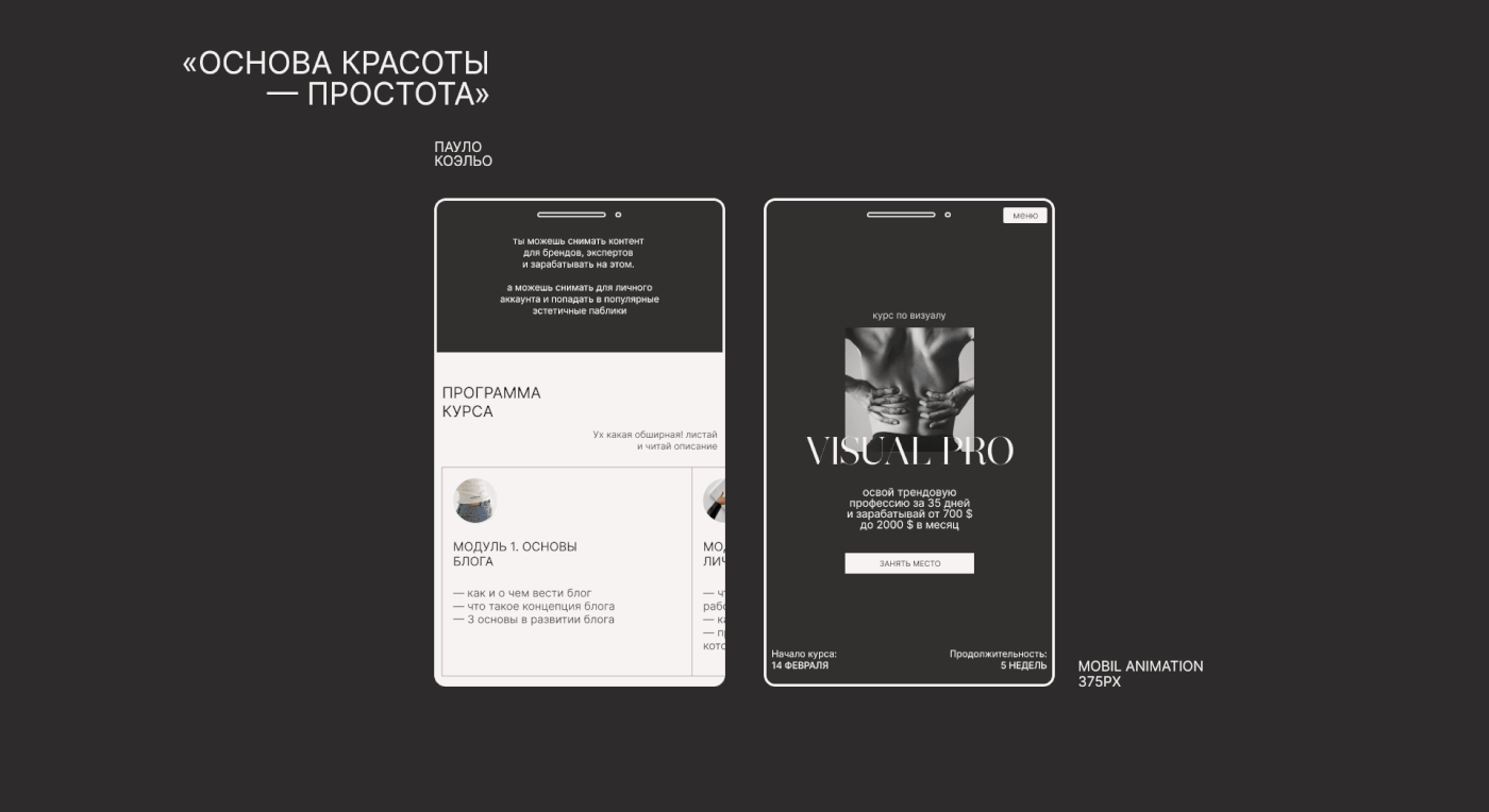 САЙТ ПОД ЗАПУСК КУРСА ПО ВИЗУАЛУ — Изображение №6 — Интерфейсы, Брендинг на Dprofile