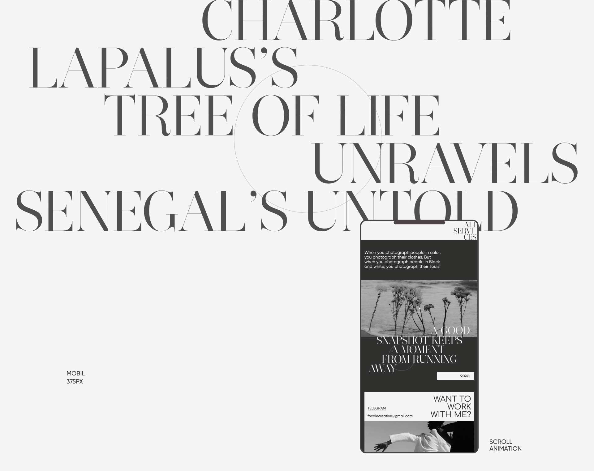PHOTOGRAPHER CHARLOTTE LAPALUS — Изображение №11 — Интерфейсы, Брендинг, Анимация на Dprofile