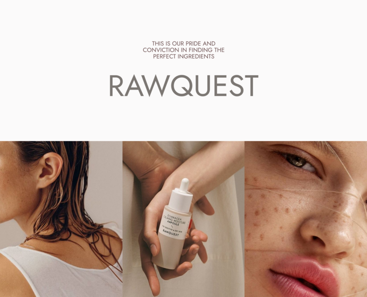 RAWQUEST - design concept на Dprofile
