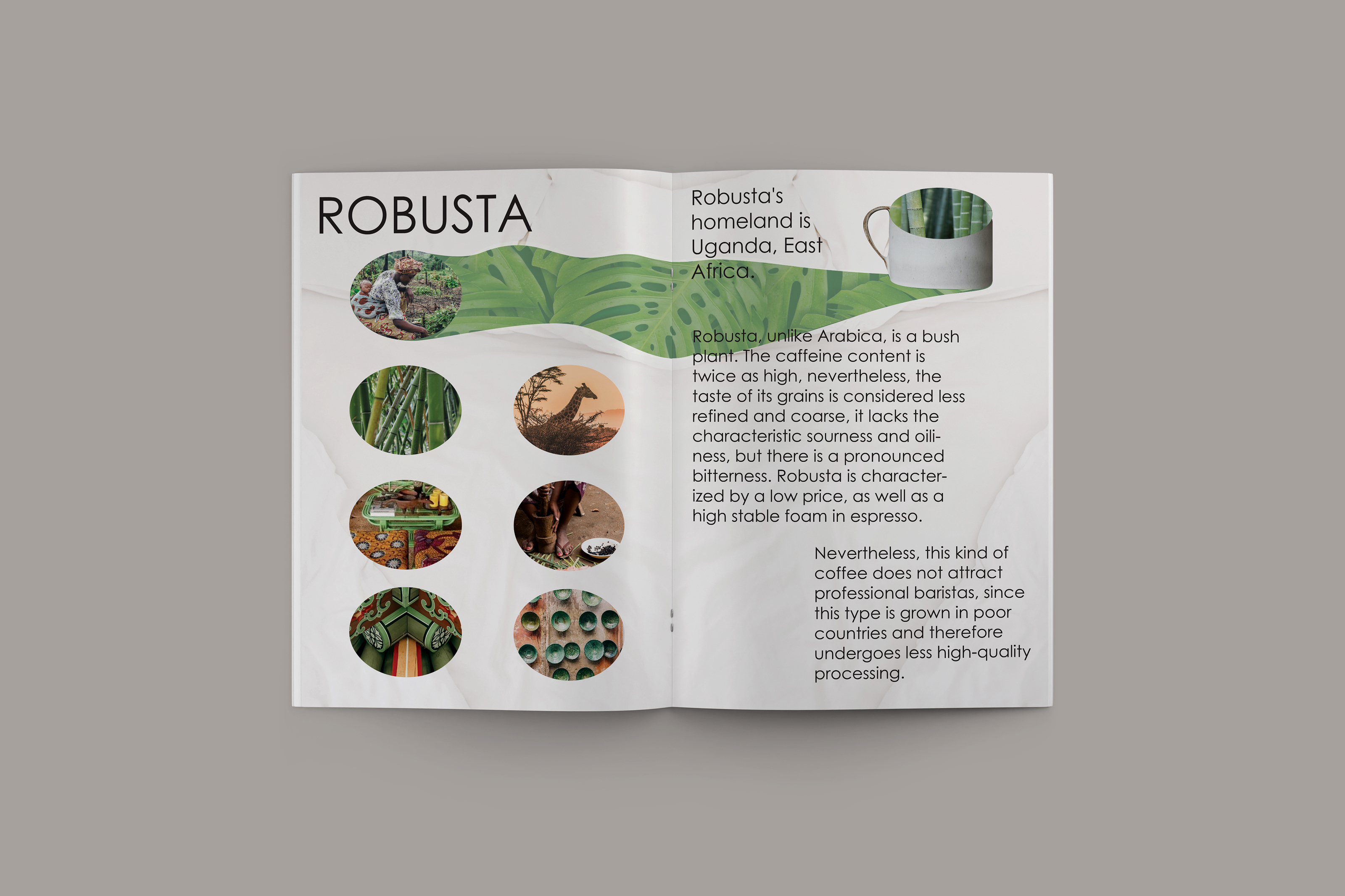 Coffee book project — Изображение №3 — Брендинг, Иллюстрация на Dprofile