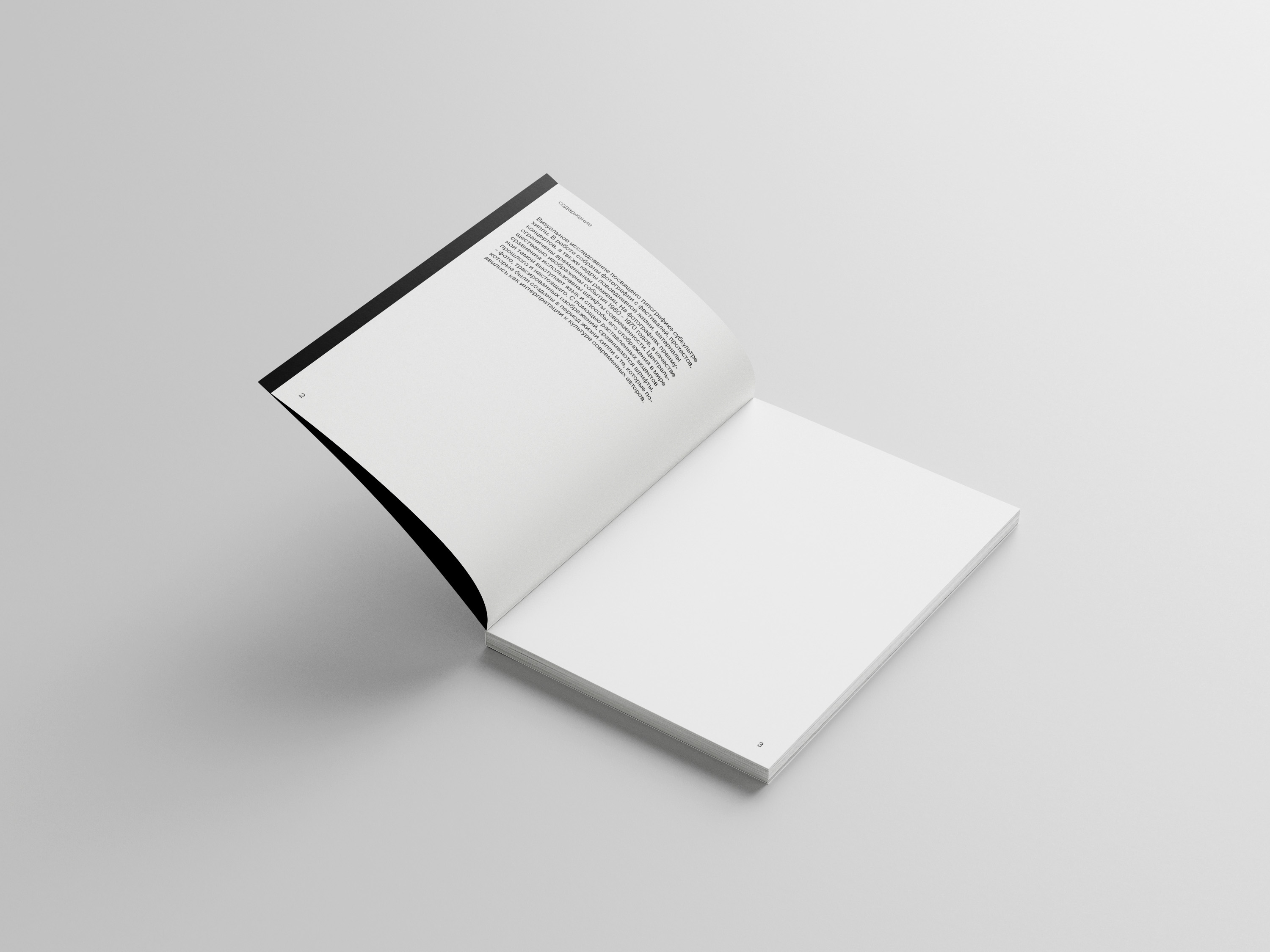 Hippie in typography — Изображение №2 — Иллюстрация, Графика на Dprofile