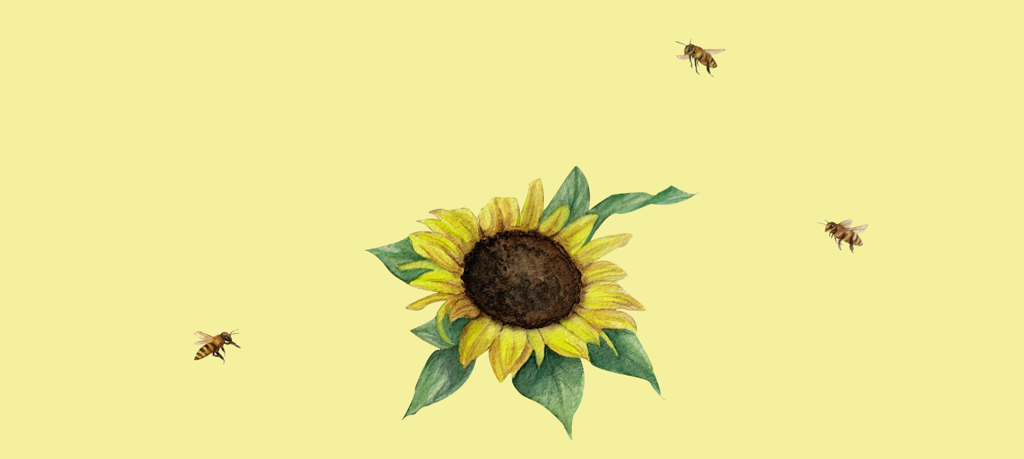 Коллекция паттернов "ВКУСНОЕ ЛЕТО" — Изображение №8 — Иллюстрация на Dprofile