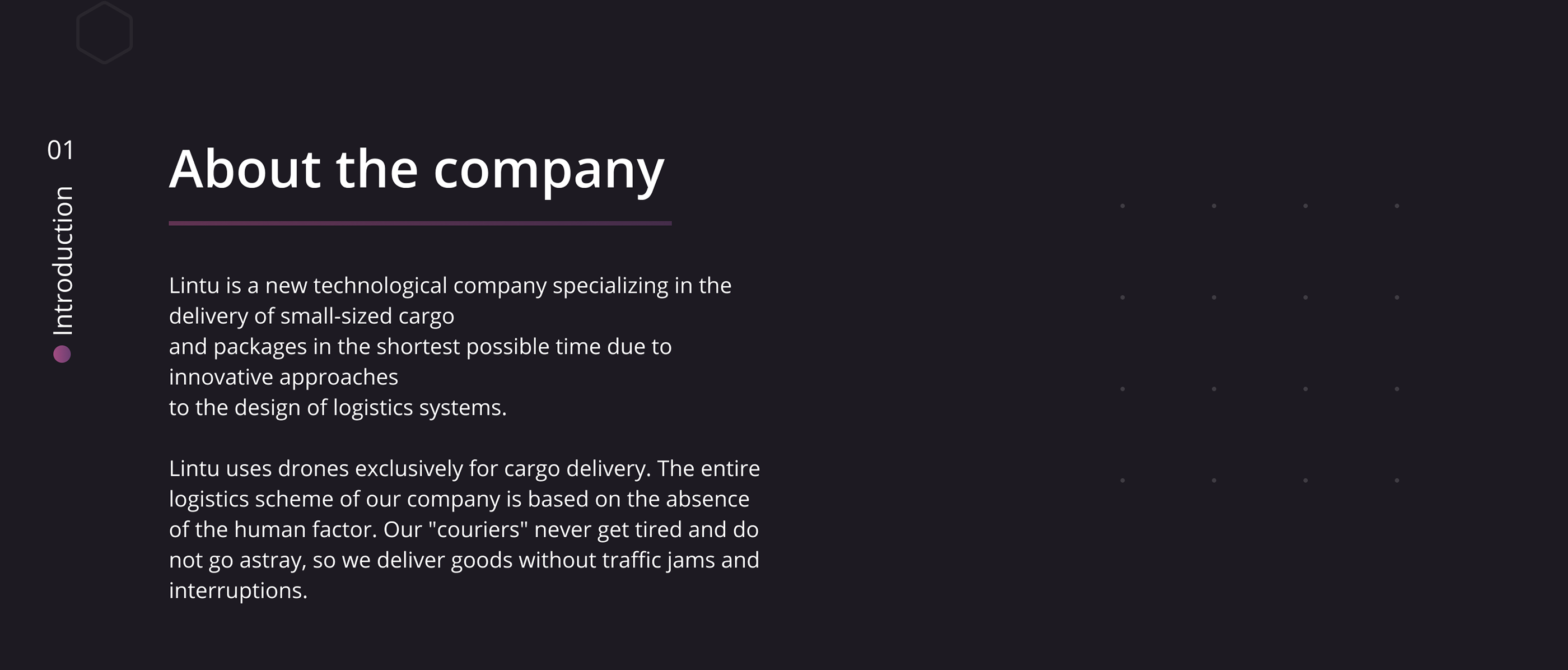 Drone Delivery - Landing page UX/UI — Изображение №2 — Интерфейсы, Брендинг, Графика на Dprofile