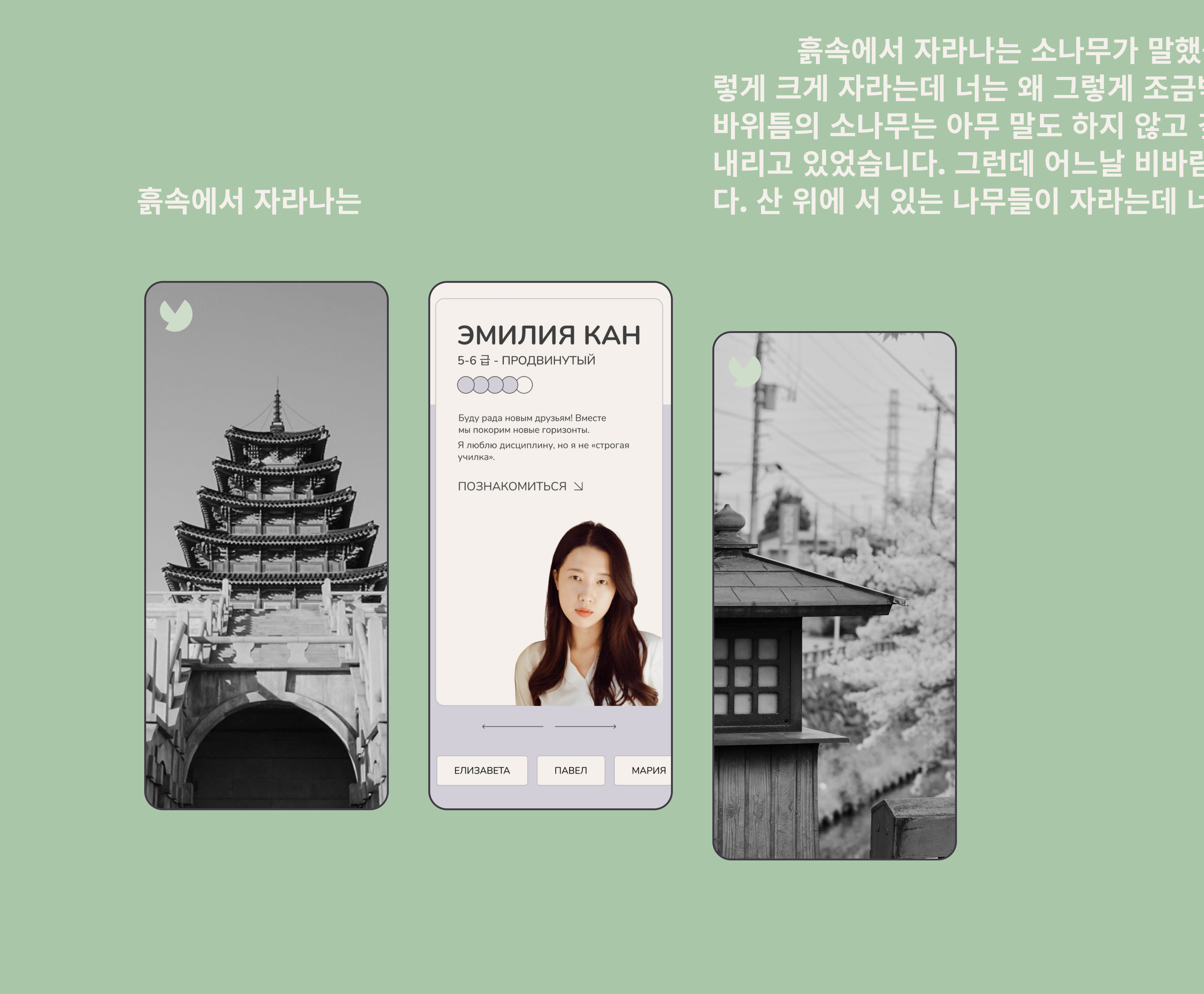 Korean Language Centre — Изображение №8 — Интерфейсы на Dprofile