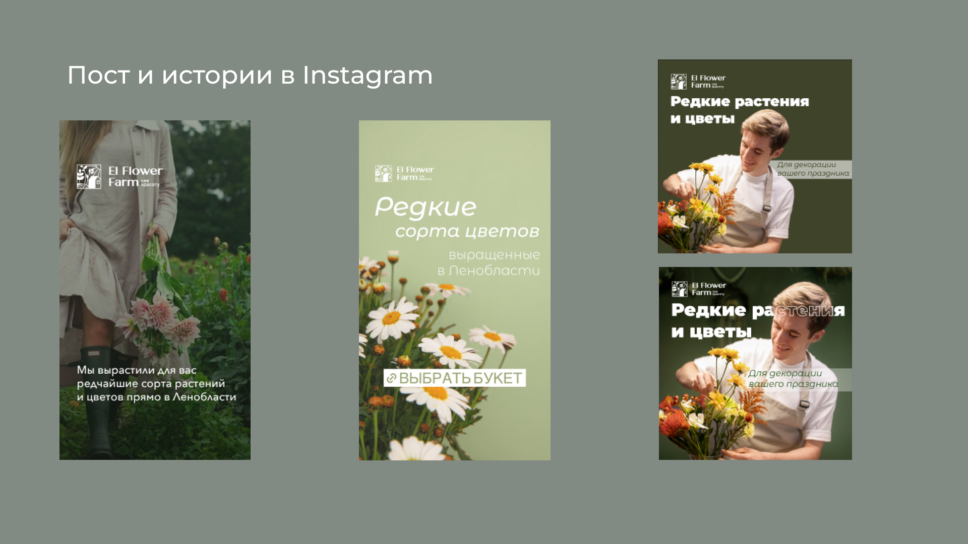 El Flower Farm — Изображение №6 — Брендинг, Маркетинг на Dprofile