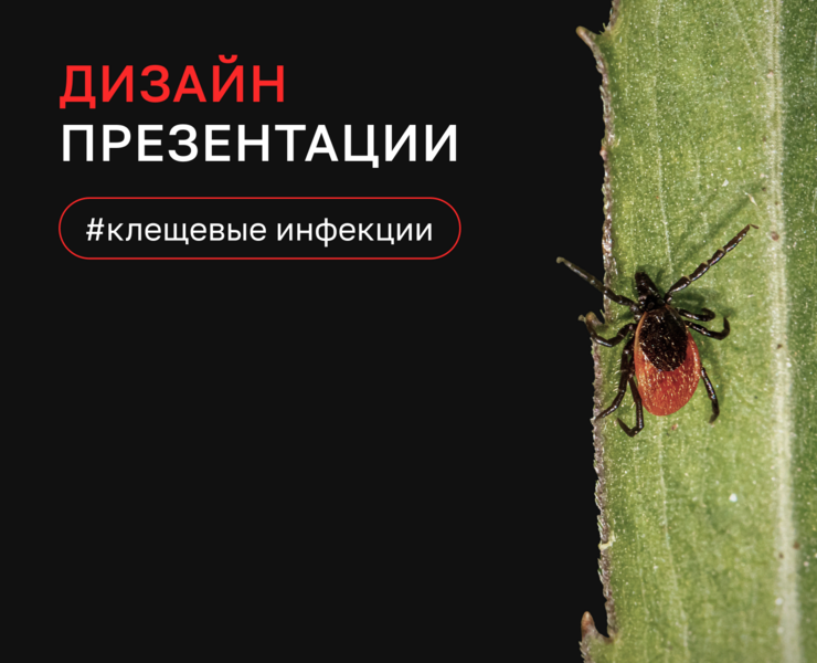 Дизайн презентации | Клещевые инфекции — Графика, Маркетинг на Dprofile