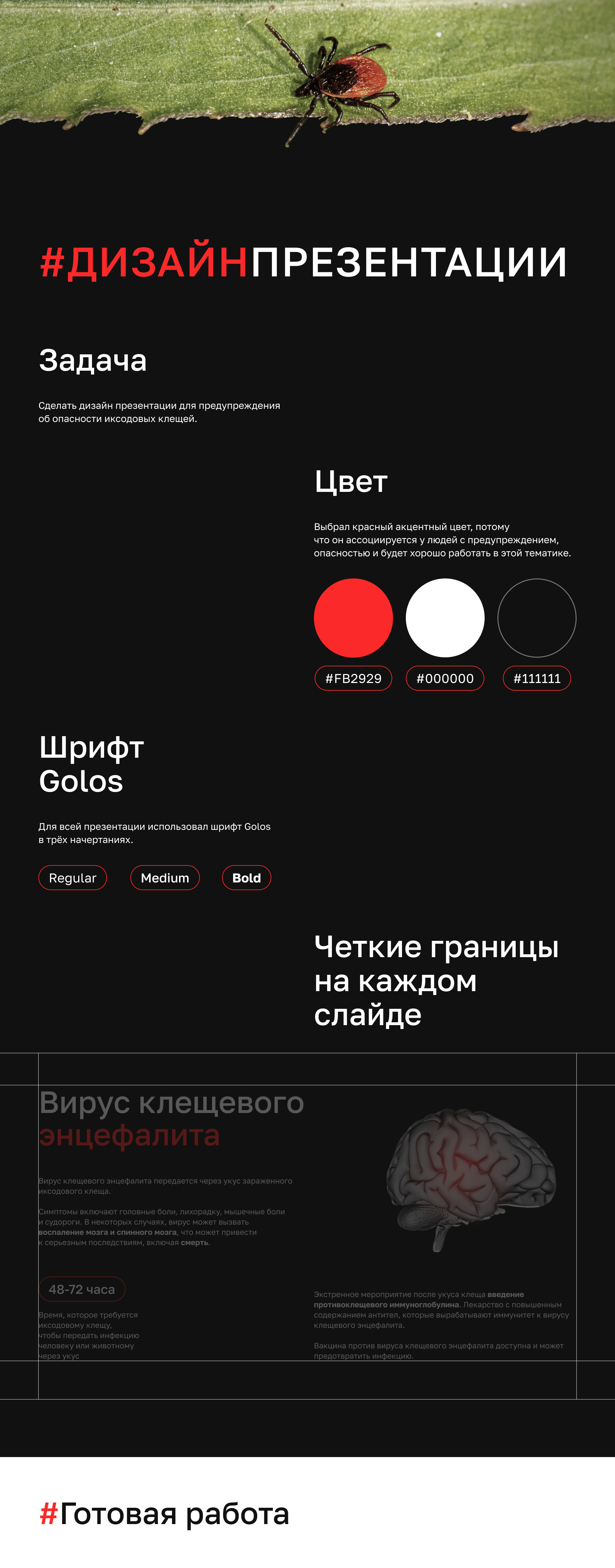 Дизайн презентации | Клещевые инфекции — Изображение №1 — Графика, Маркетинг на Dprofile