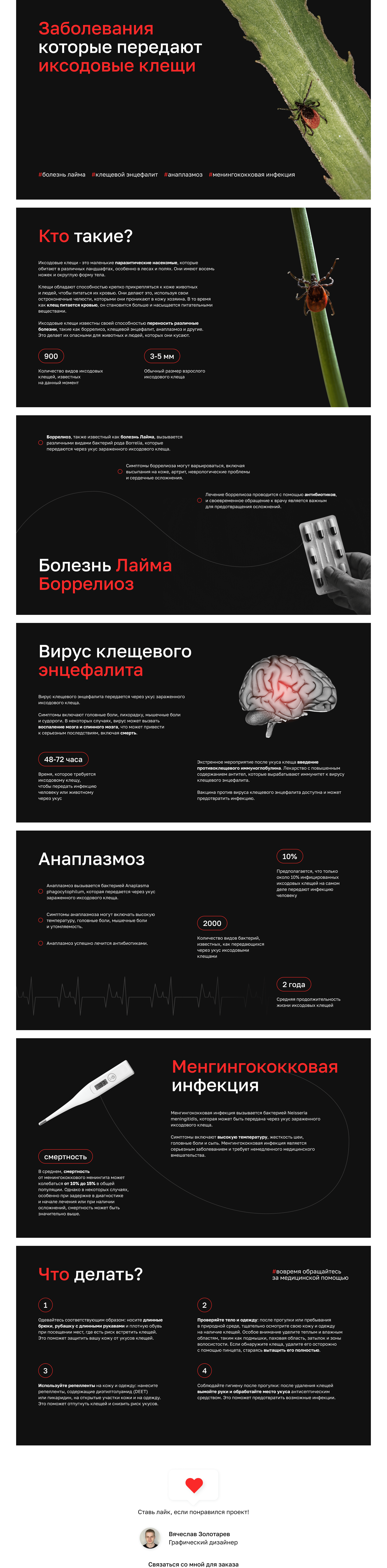 Дизайн презентации | Клещевые инфекции — Изображение №2 — Графика, Маркетинг на Dprofile