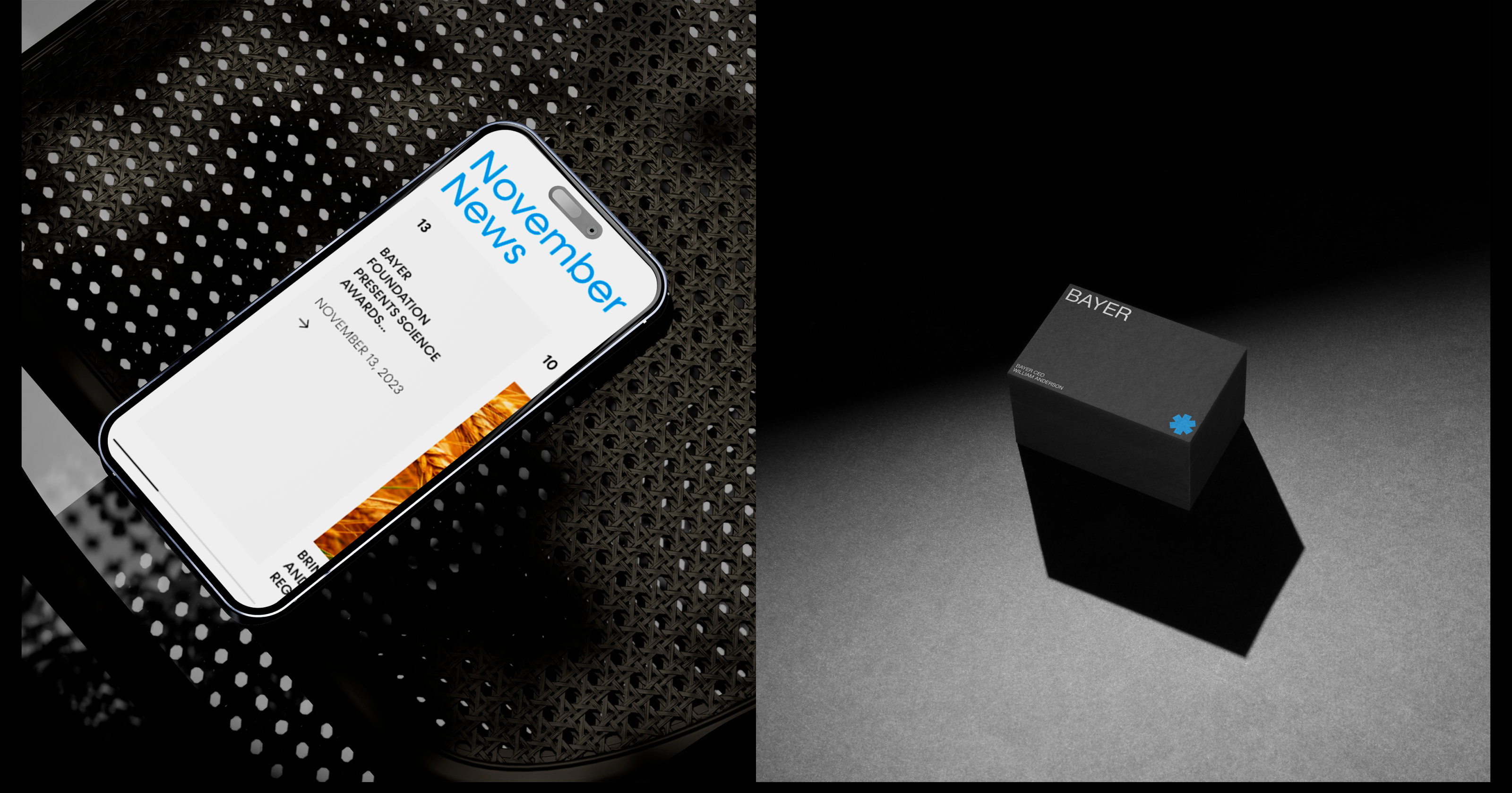 Bayer | Corporate website redesign — Изображение №4 — Брендинг, Интерфейсы на Dprofile