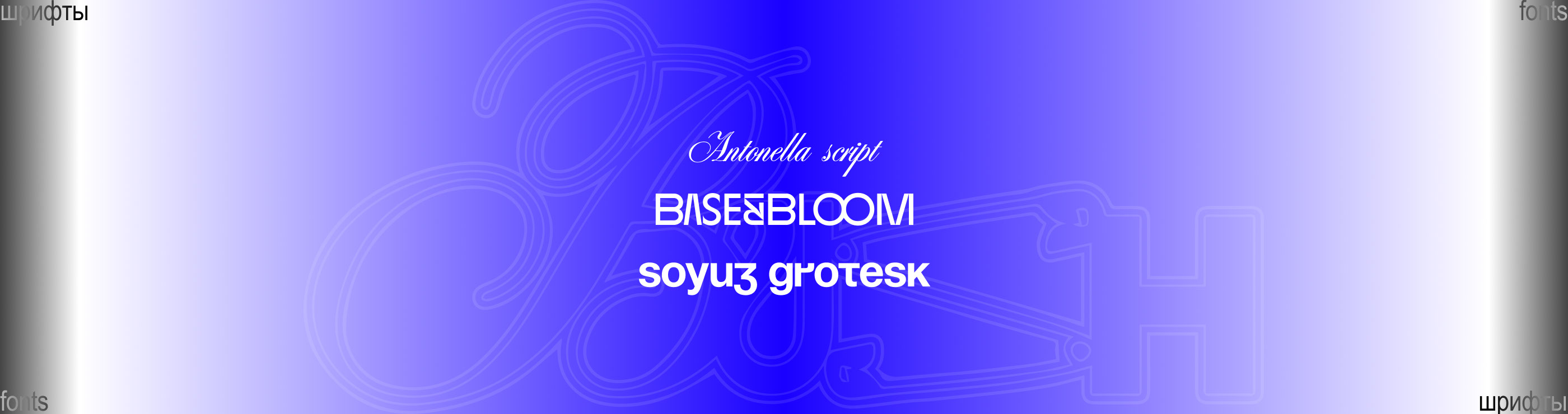 Fashion Brand Identity | Bush — Изображение №4 — Брендинг, Графика на Dprofile