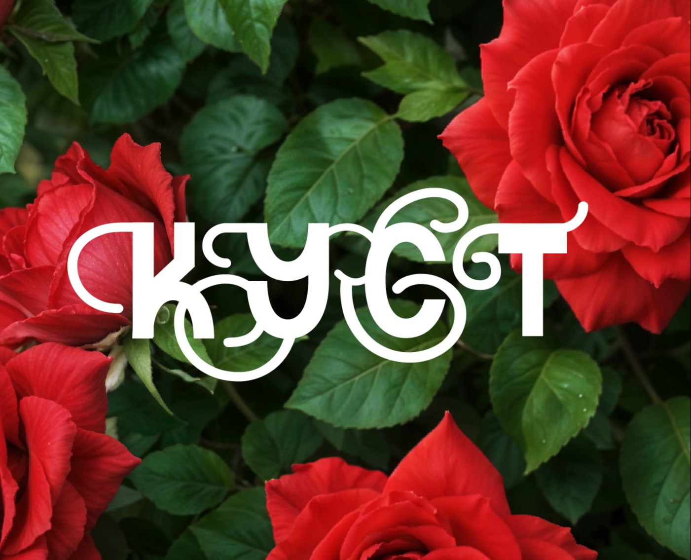 КУСТ | цветочная мастерская — Брендинг на Dprofile
