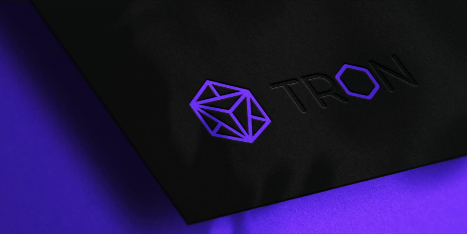 Tron | logo design & website — Изображение №2 — Интерфейсы, Брендинг на Dprofile