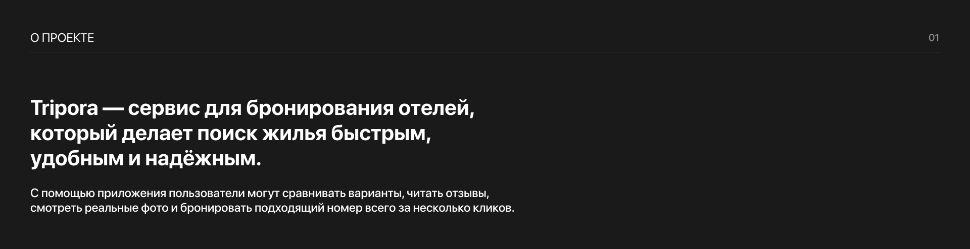 Tripora - Сервис бронирования отелей — Изображение №2 — Интерфейсы на Dprofile