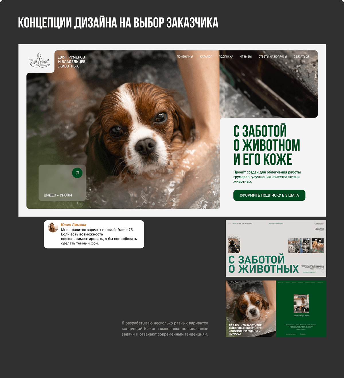 Сайт для обучения грумингу | Grooming training site — Изображение №5 — Интерфейсы на Dprofile