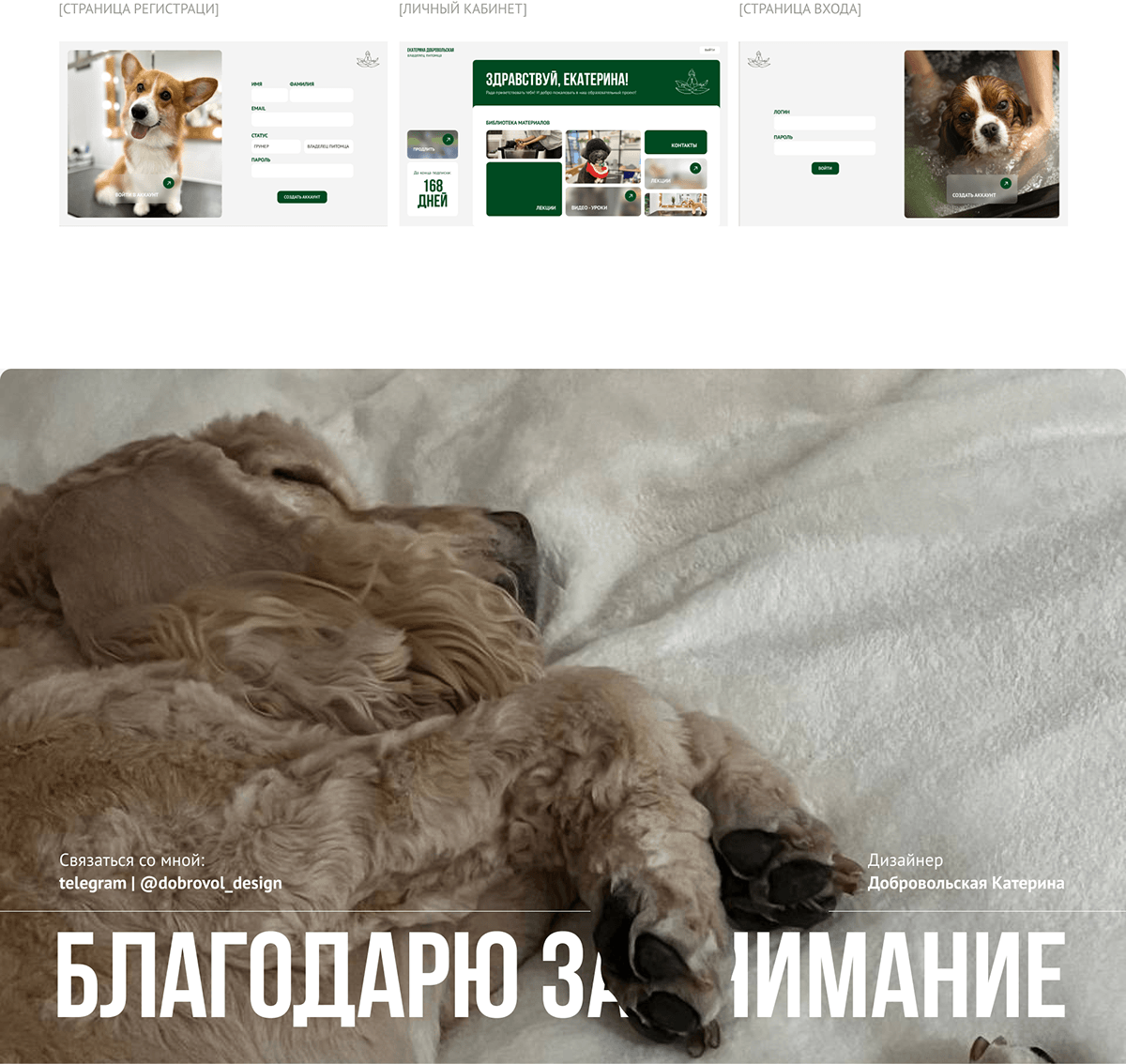 Сайт для обучения грумингу | Grooming training site — Изображение №11 — Интерфейсы на Dprofile