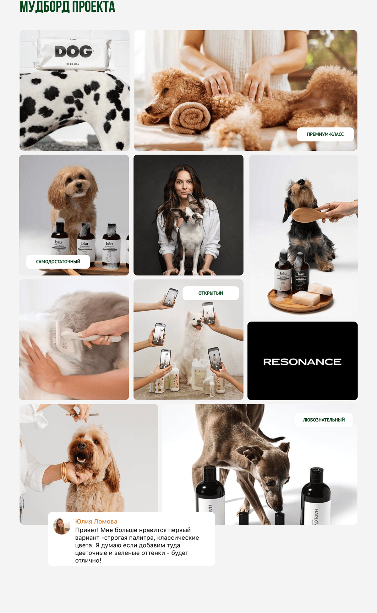 Сайт для обучения грумингу | Grooming training site — Изображение №4 — Интерфейсы на Dprofile