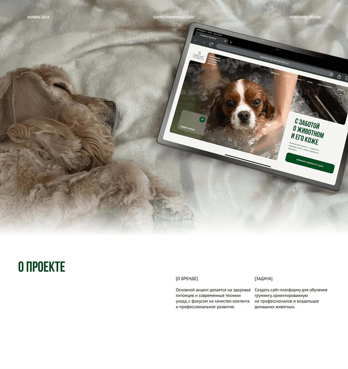 Сайт для обучения грумингу | Grooming training site — Изображение №1 — Интерфейсы на Dprofile