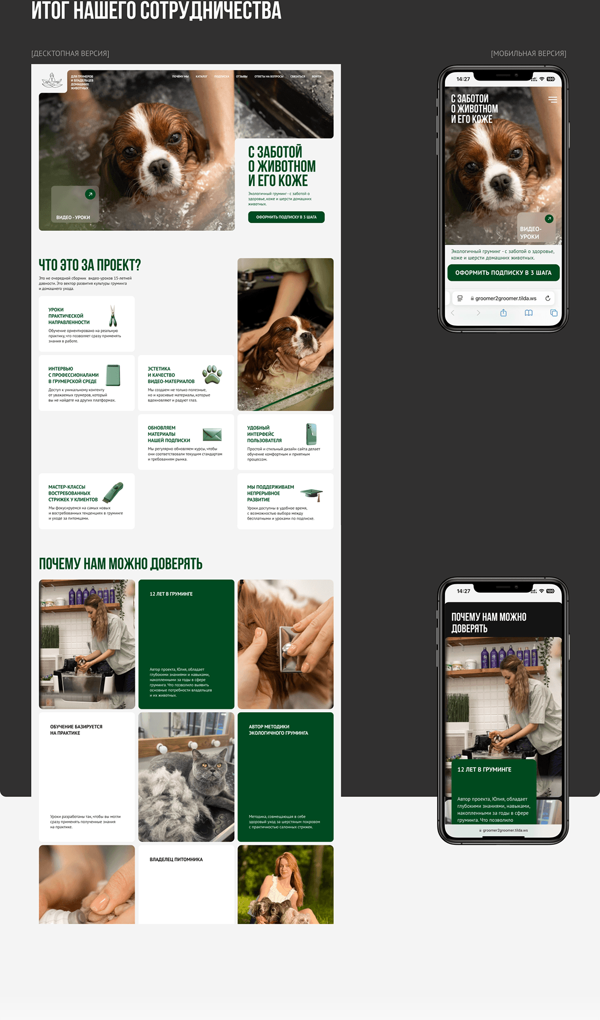 Сайт для обучения грумингу | Grooming training site — Изображение №6 — Интерфейсы на Dprofile