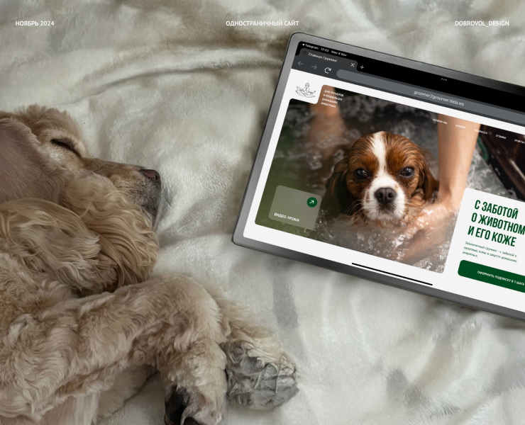 Сайт для обучения грумингу | Grooming training site — Интерфейсы на Dprofile