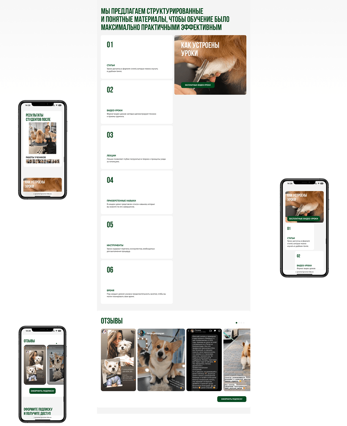 Сайт для обучения грумингу | Grooming training site — Изображение №8 — Интерфейсы на Dprofile
