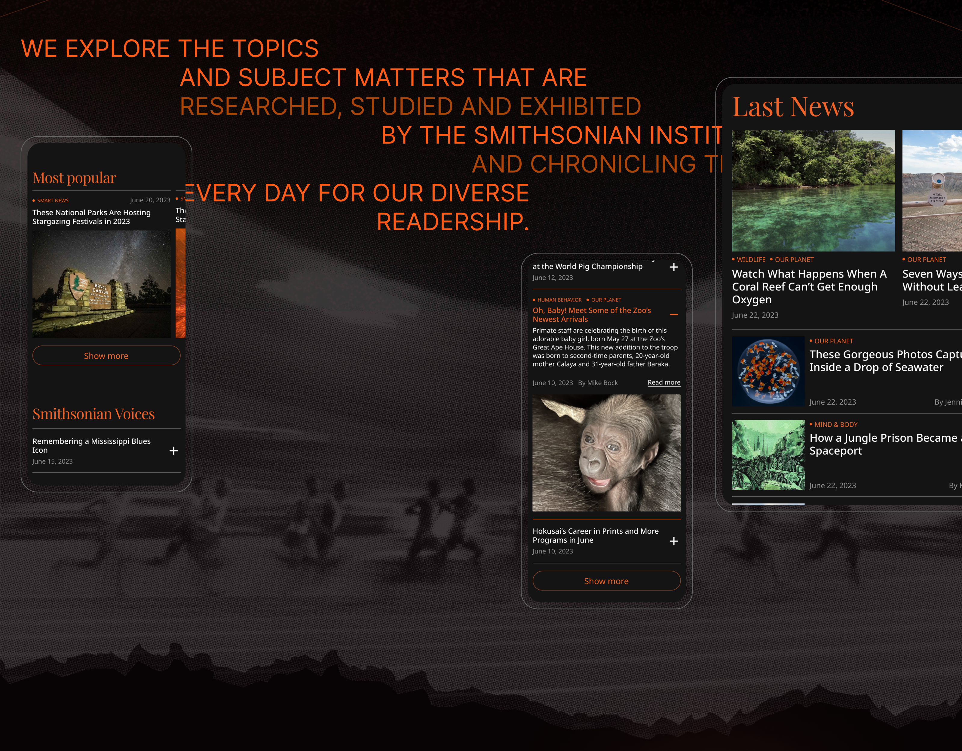 Smithsonian Magazine | Redesign news site — Изображение №3 — Интерфейсы, Графика на Dprofile