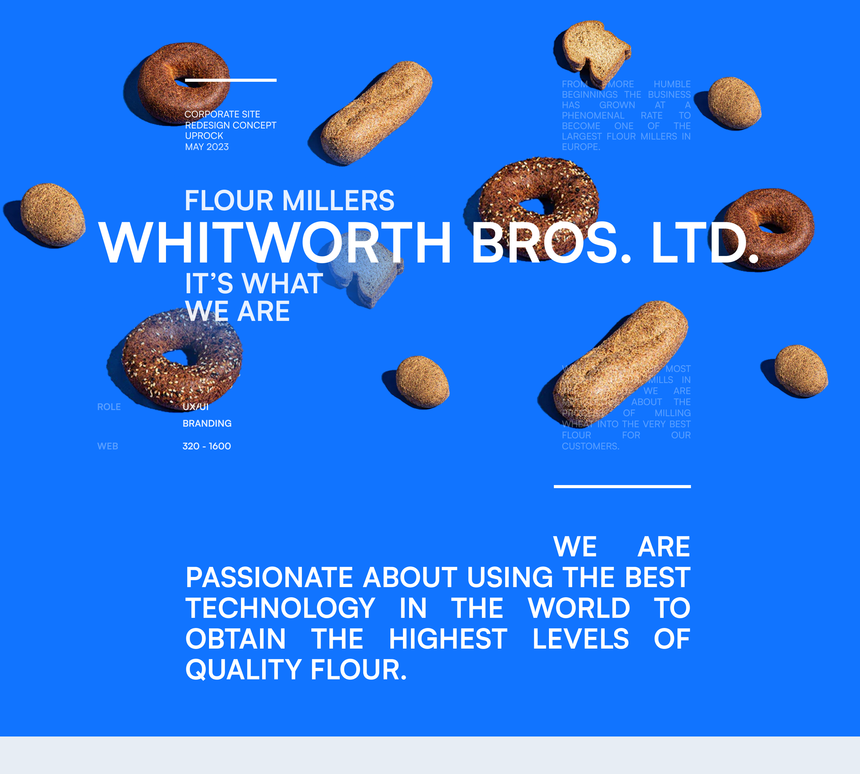 Whitworth Bros | Corporate Website — Изображение №1 — Интерфейсы, Брендинг на Dprofile