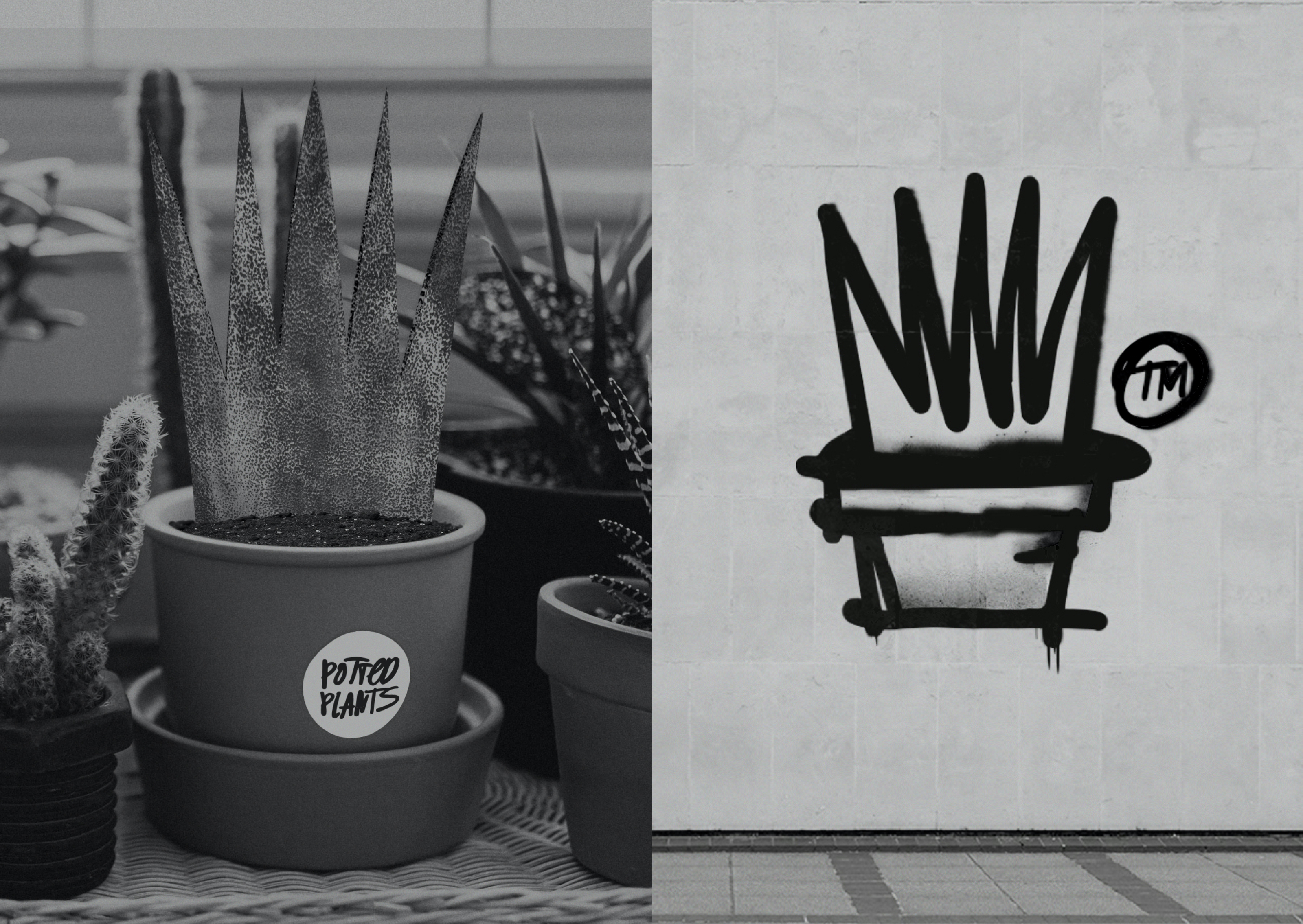 Potted Supply Co. — Изображение №8 — Брендинг на Dprofile