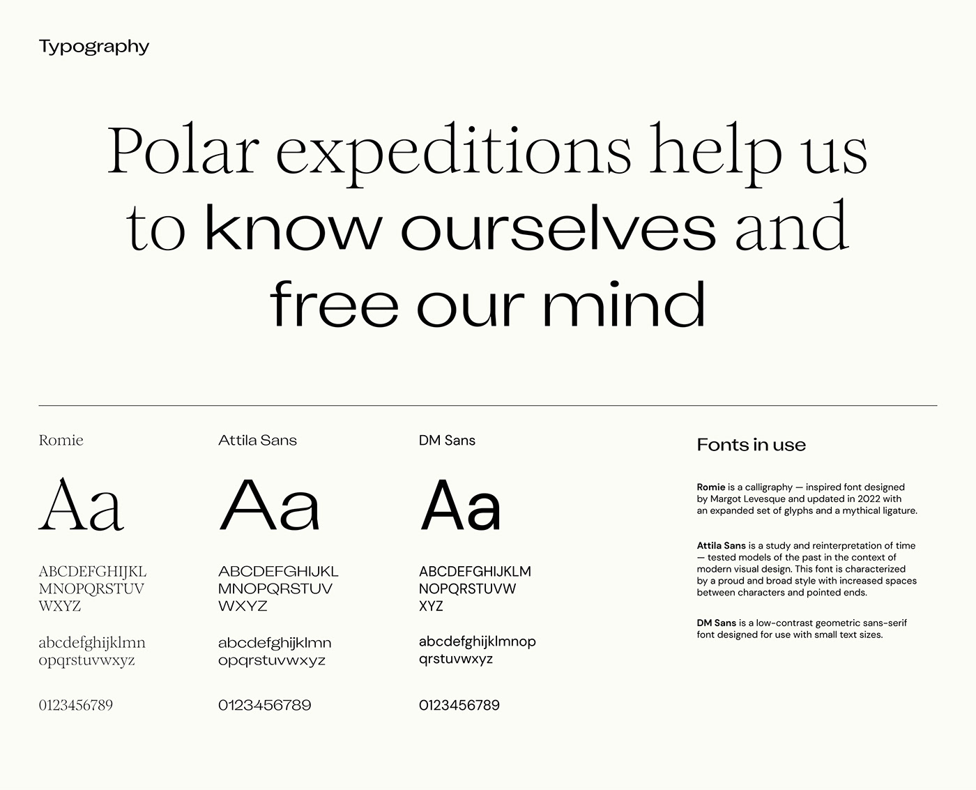 Moretime Expeditions — Изображение №2 — Брендинг на Dprofile