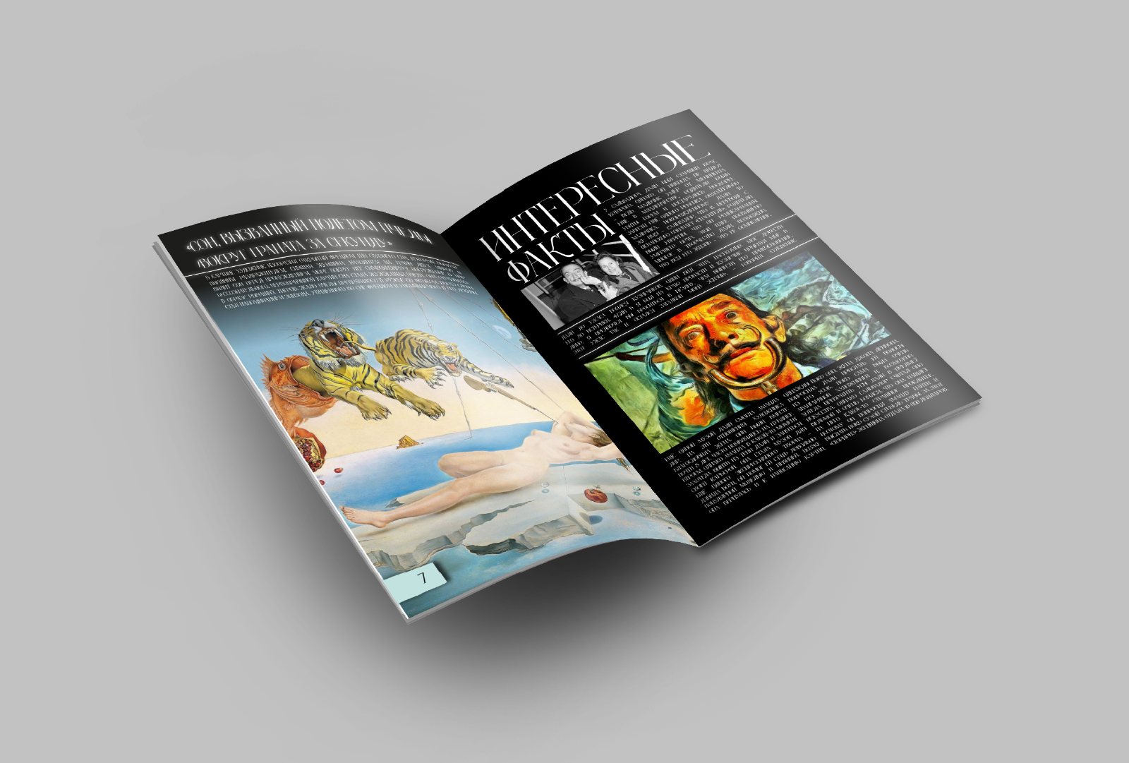 Журнал "Сальвадор Дали и его жизнь" — Изображение №3 — Иллюстрация, Графика на Dprofile